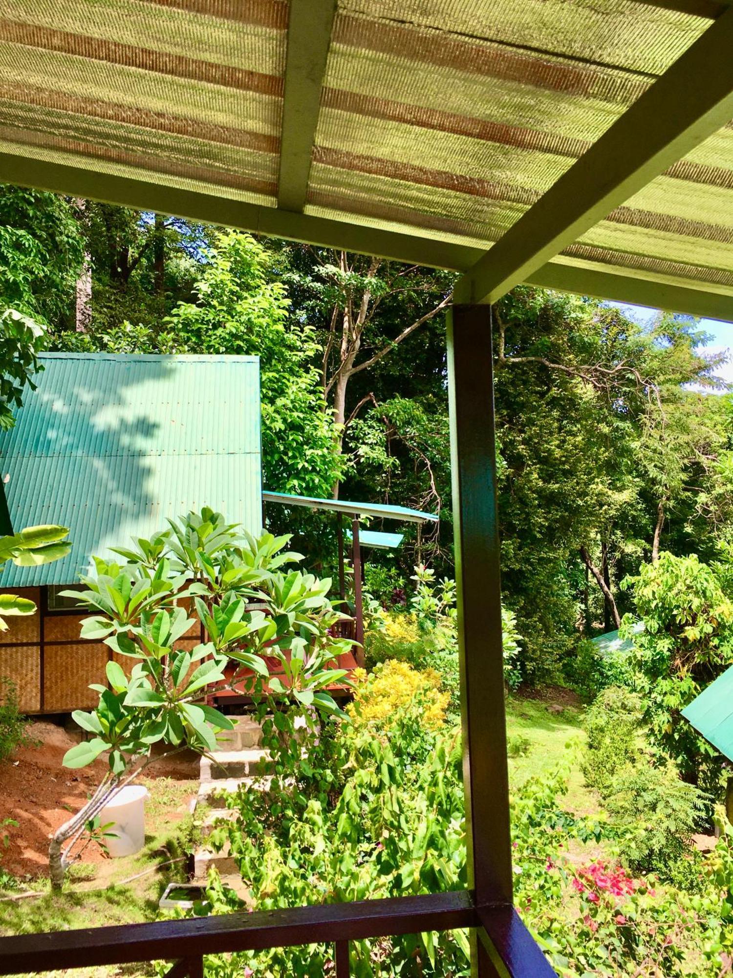 Tp Hut