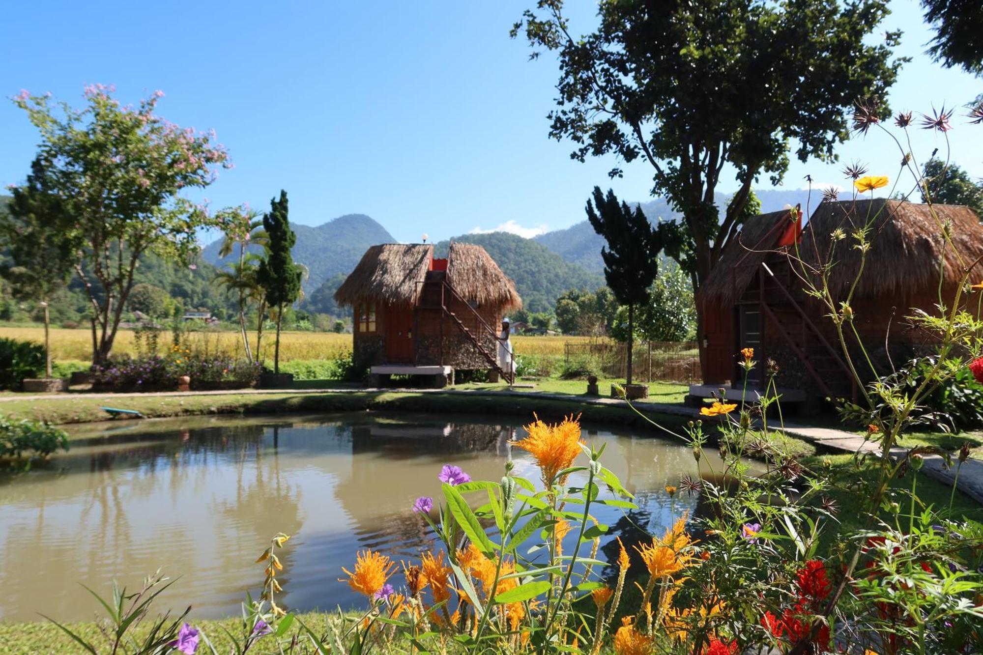 The Countryside Pai