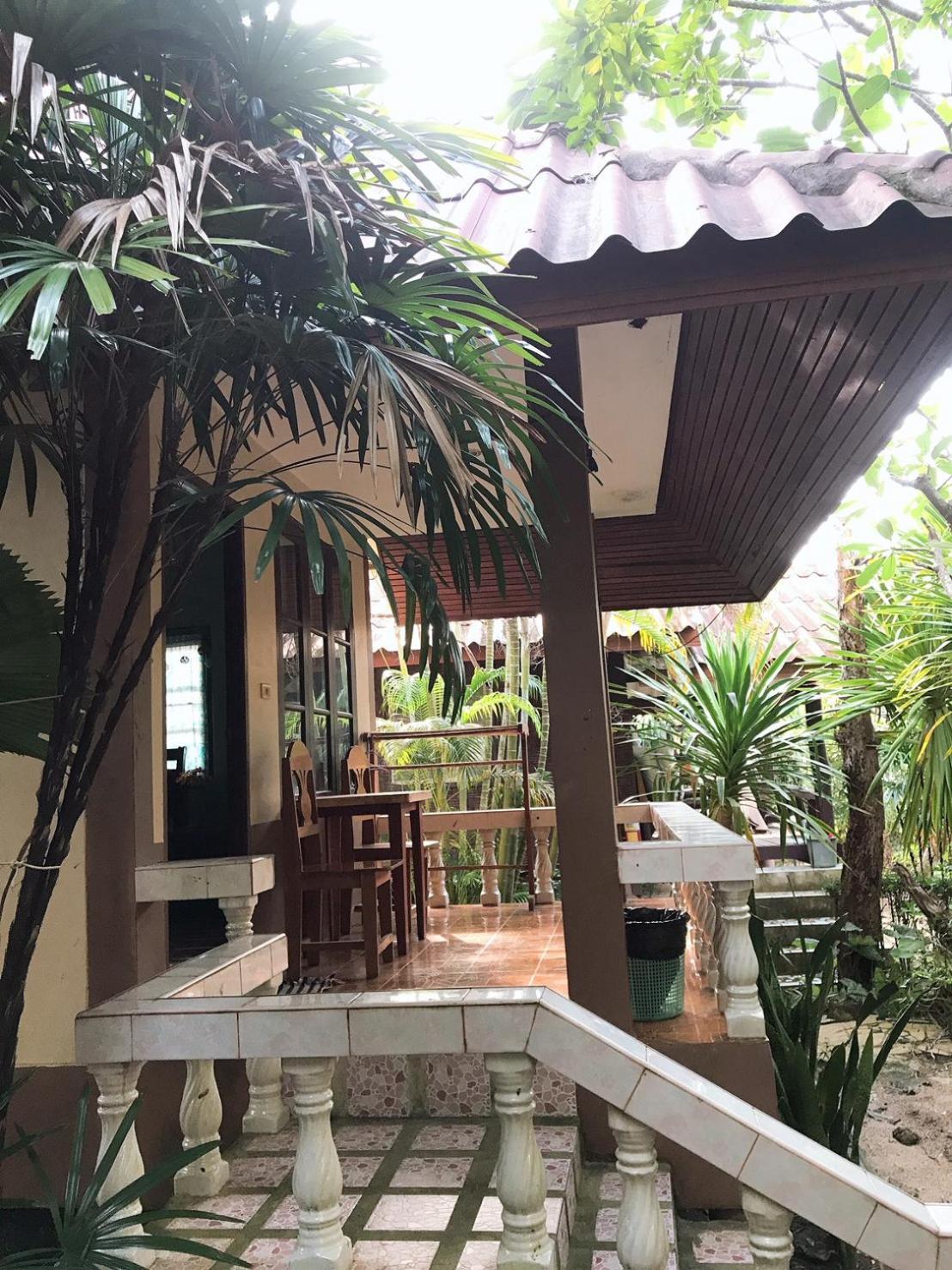 Jungle Hut & Hotel