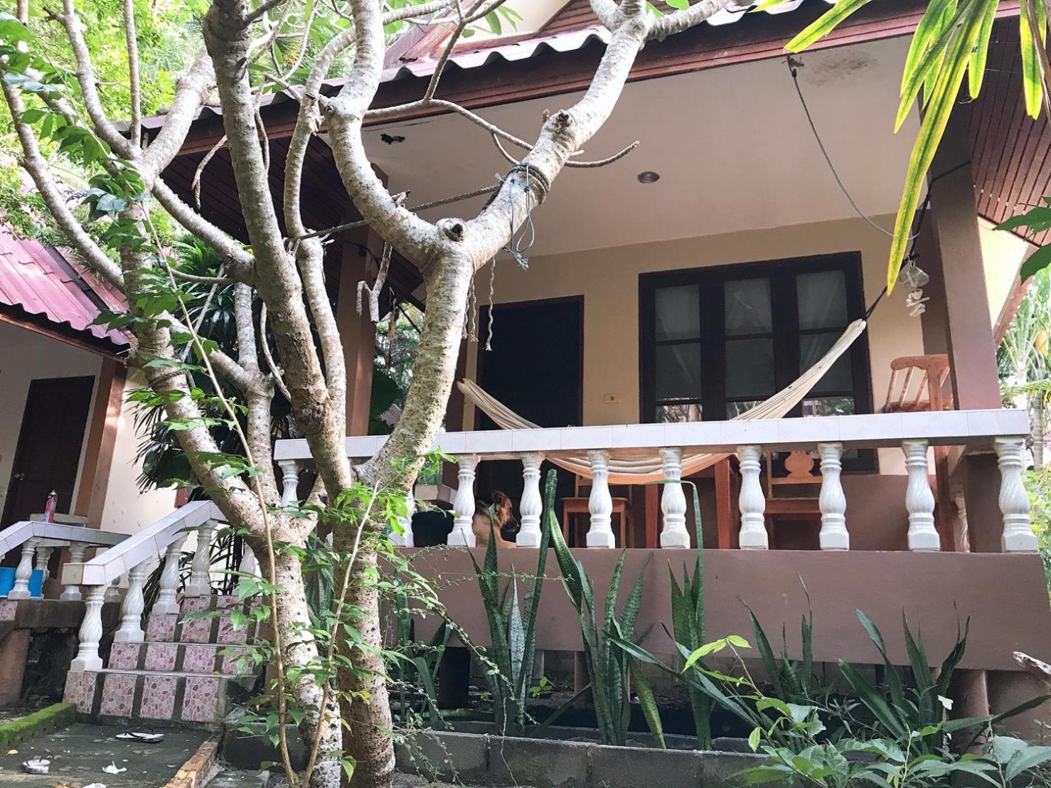 Jungle Hut & Hotel 2*
