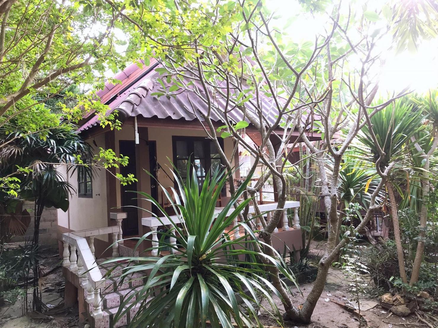 Jungle Hut & Hotel 2*