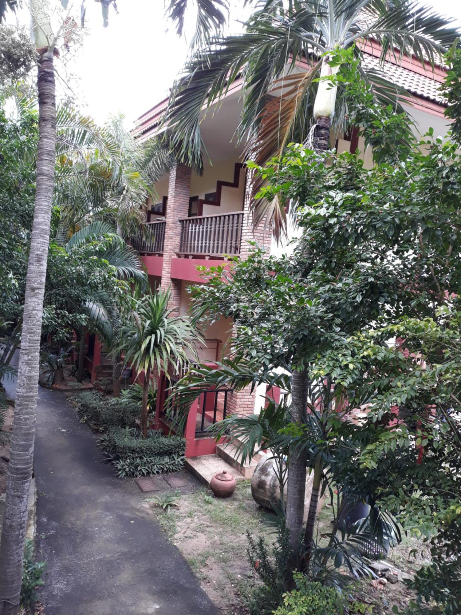 Hotel Jungle Hut & 2*