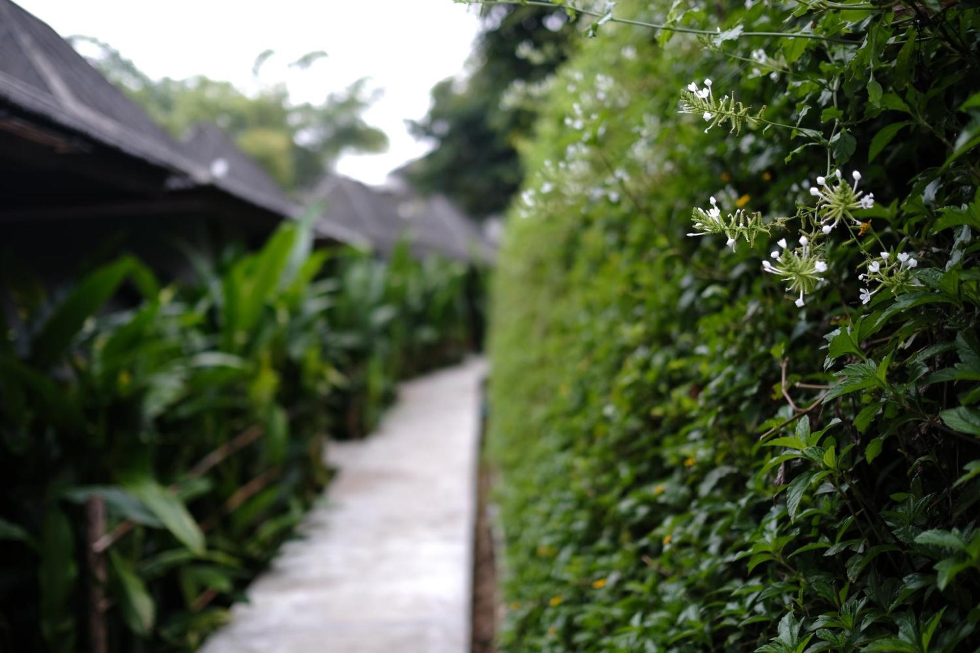 Yoma Hotel, Resort Pai