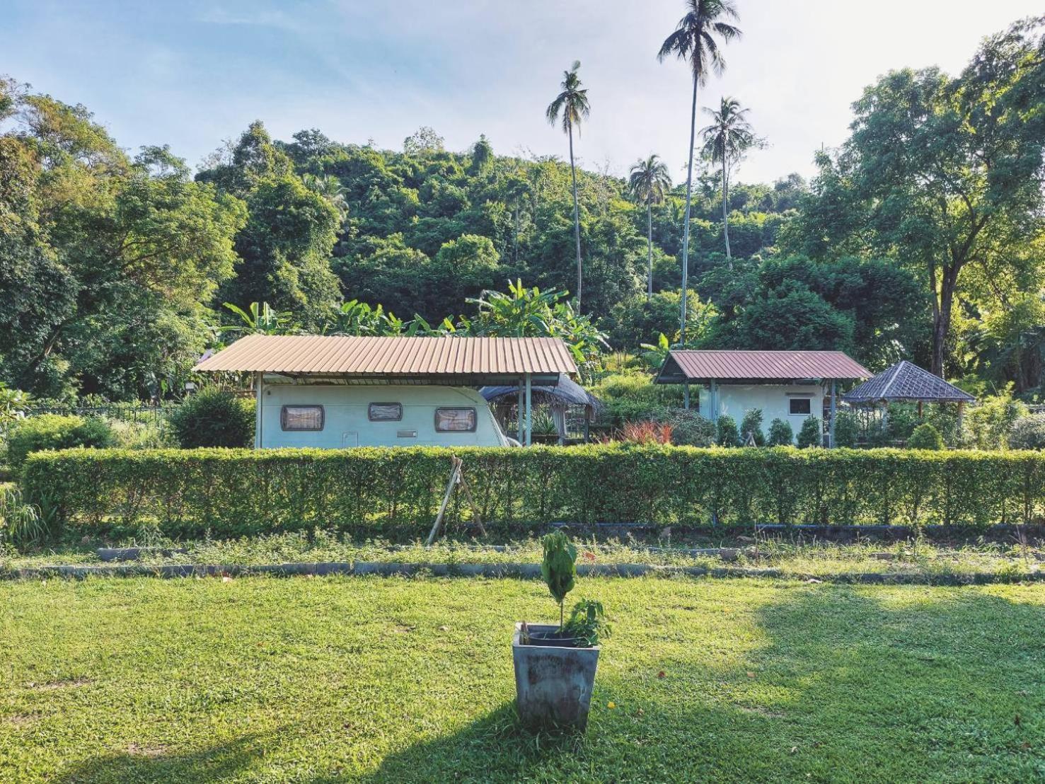 Samui Farm Campsite