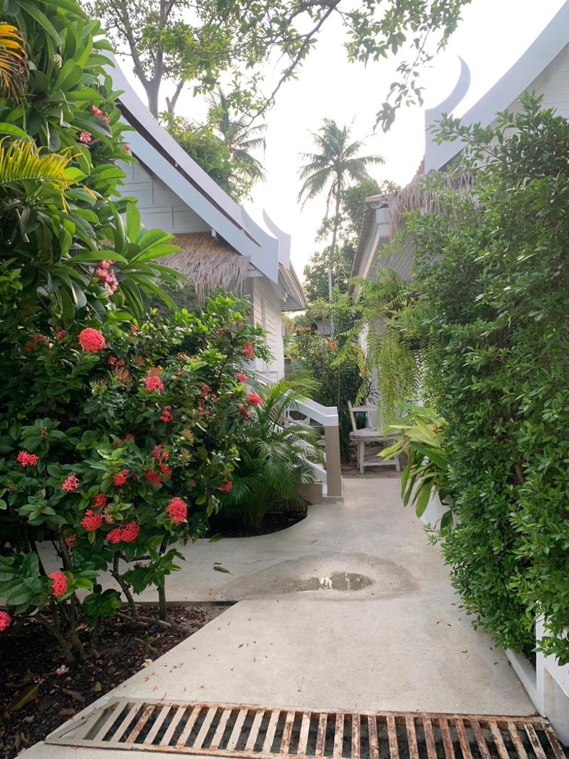 Resort Elephant Club & Samui 4*