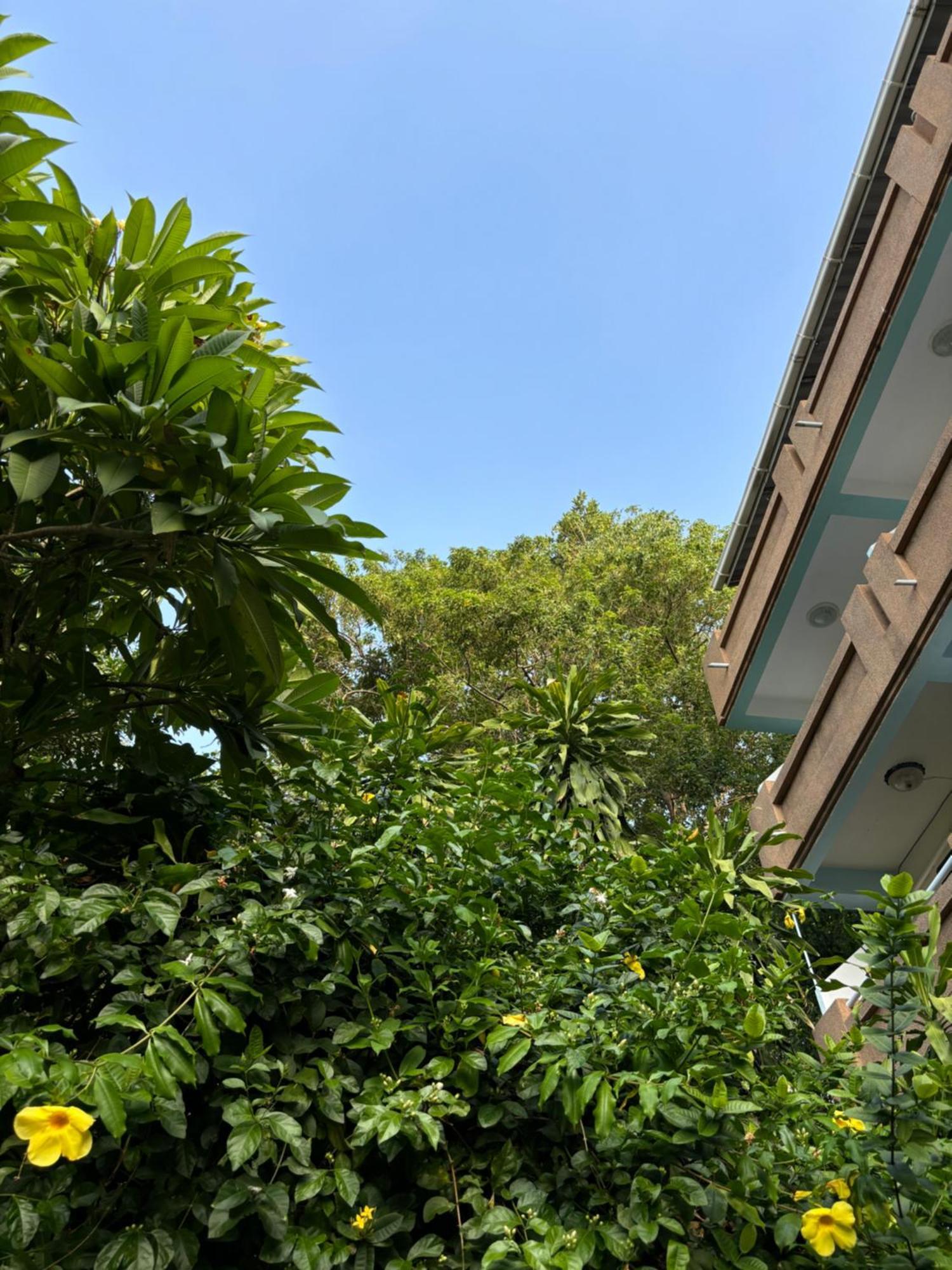 Bonny 4 Floors No Elevator 2* Lamai Beach (Koh Samui)