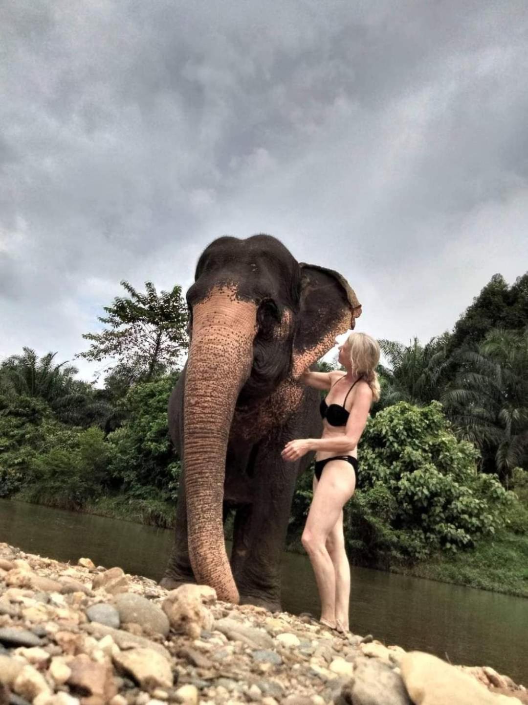 Hotel Khao Sok Country 2*