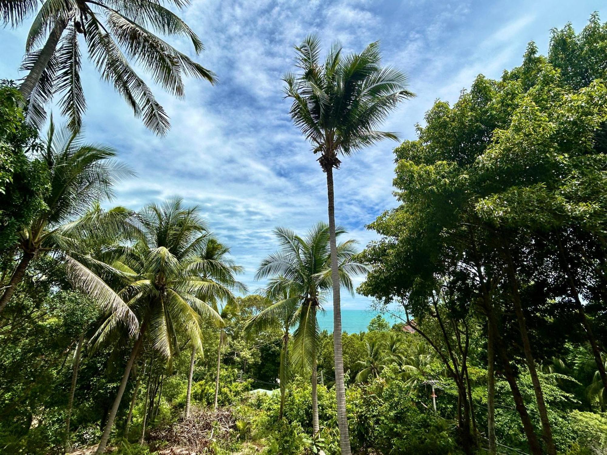 Kalani, Casa de férias *