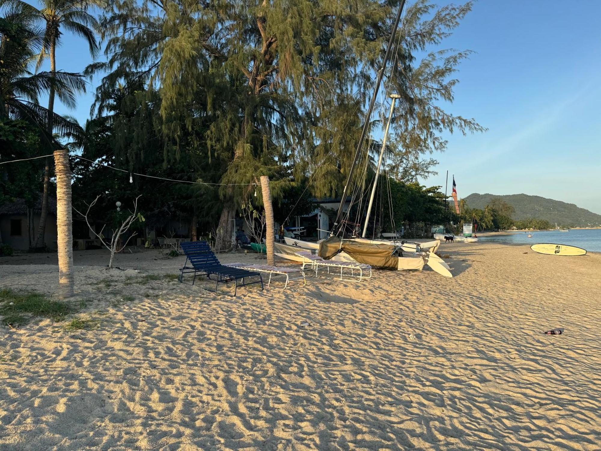 Seaside Siesta