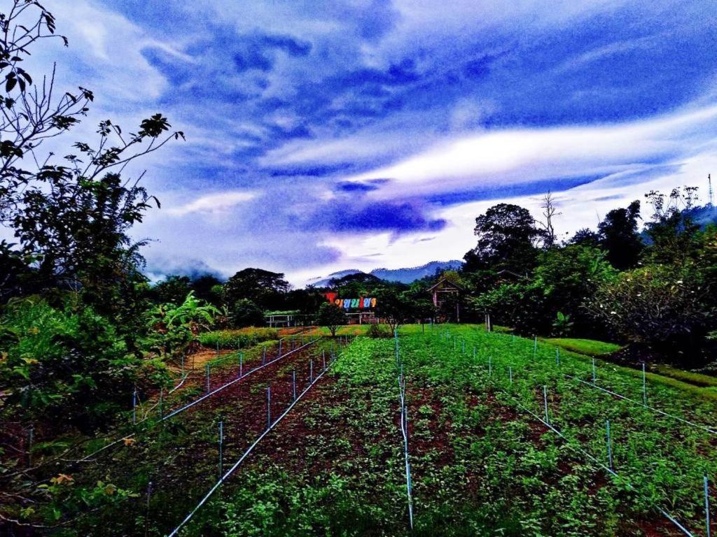 Resort Nai Khun Khao Chiang Mai