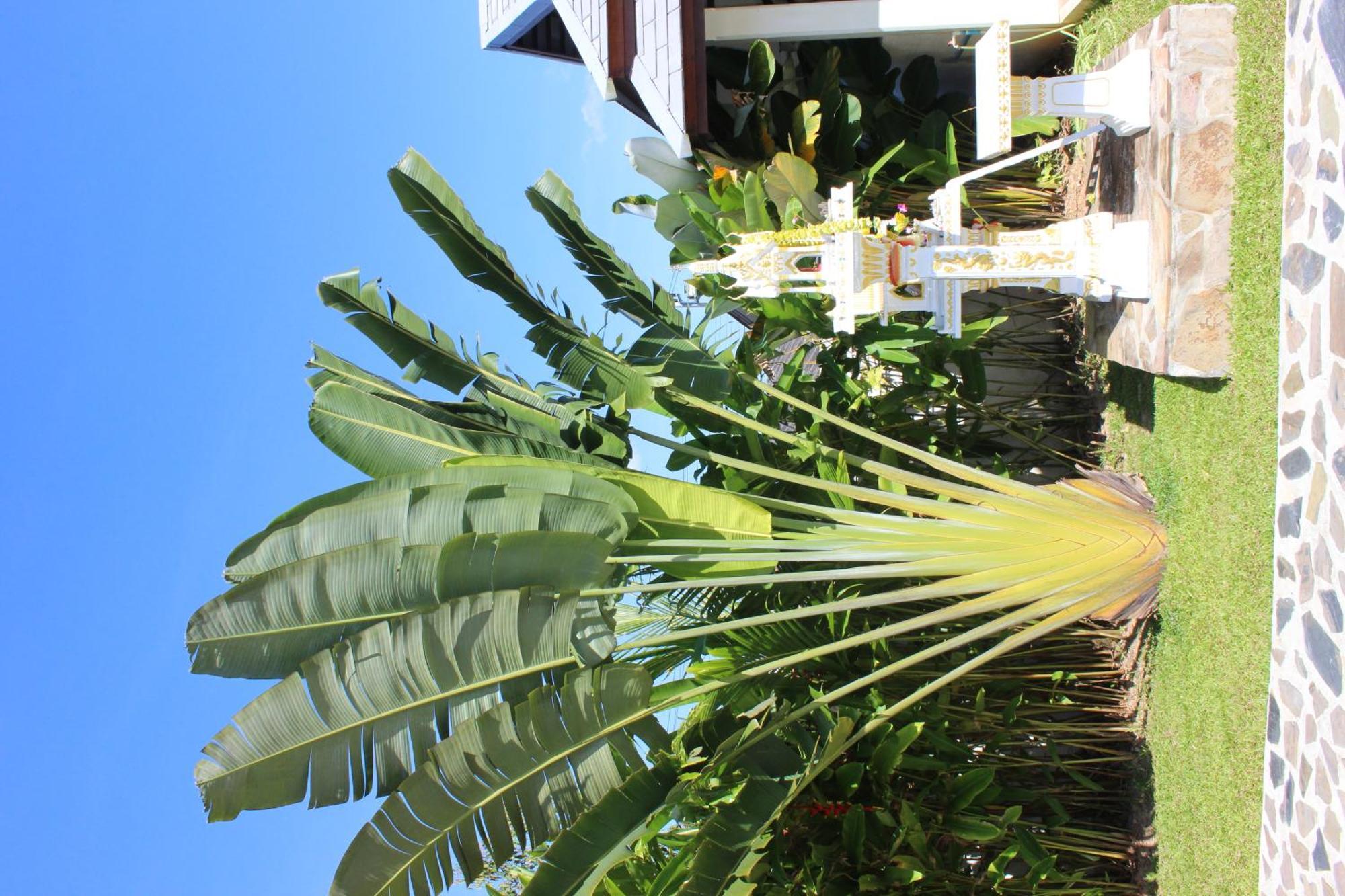 Guest house Colina And - Adults Only
