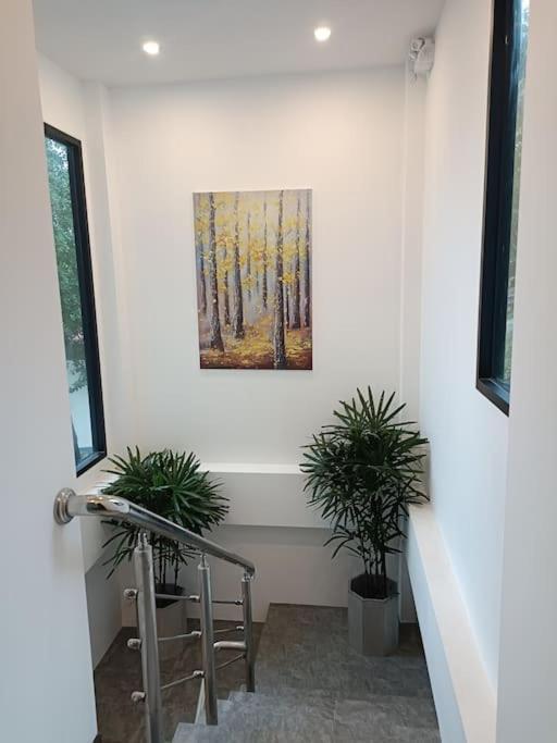 Le Miroir De La Villa *