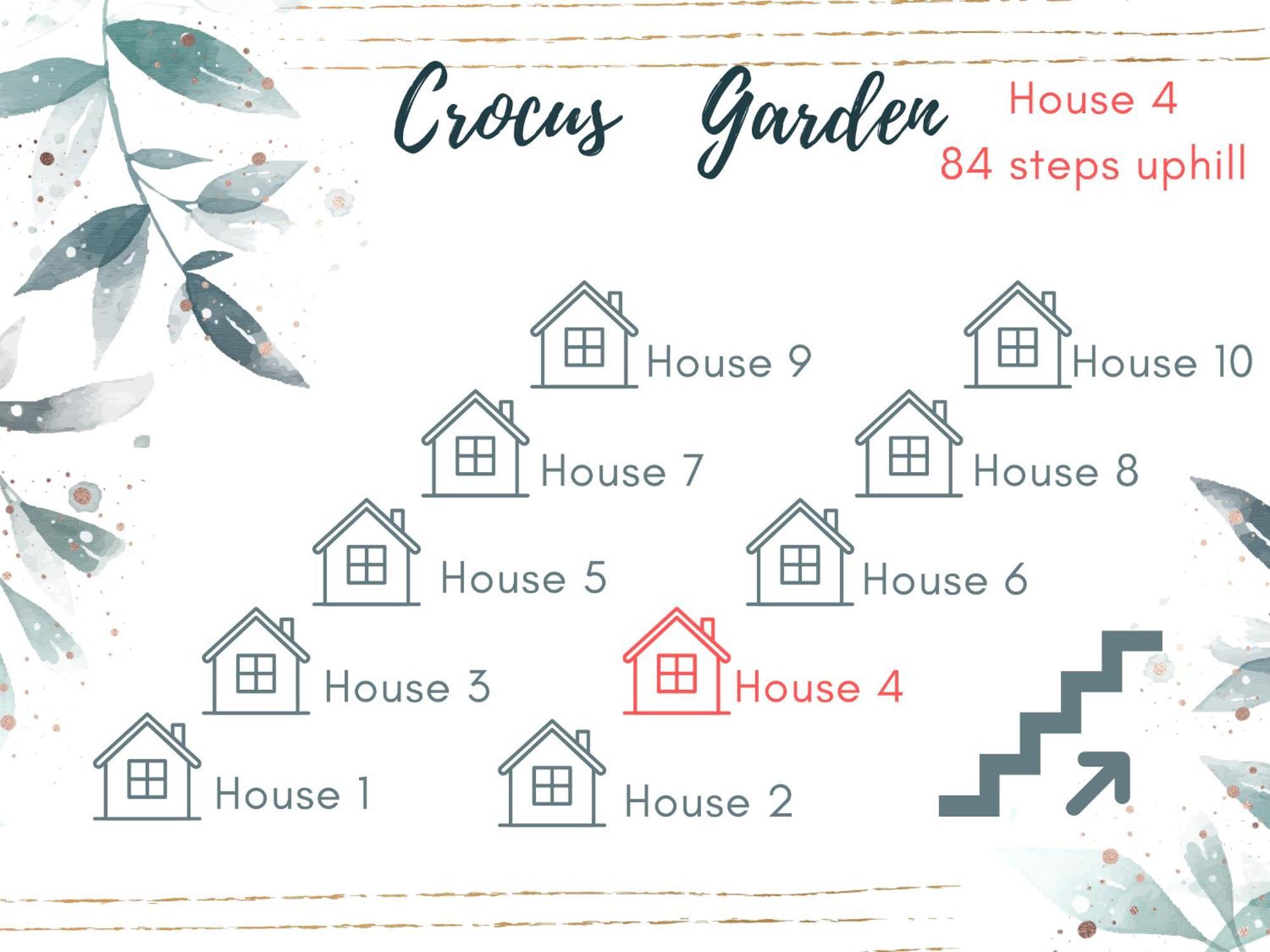 Crocus Garden