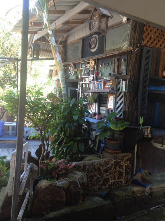 Cashewnut Tree Lodge