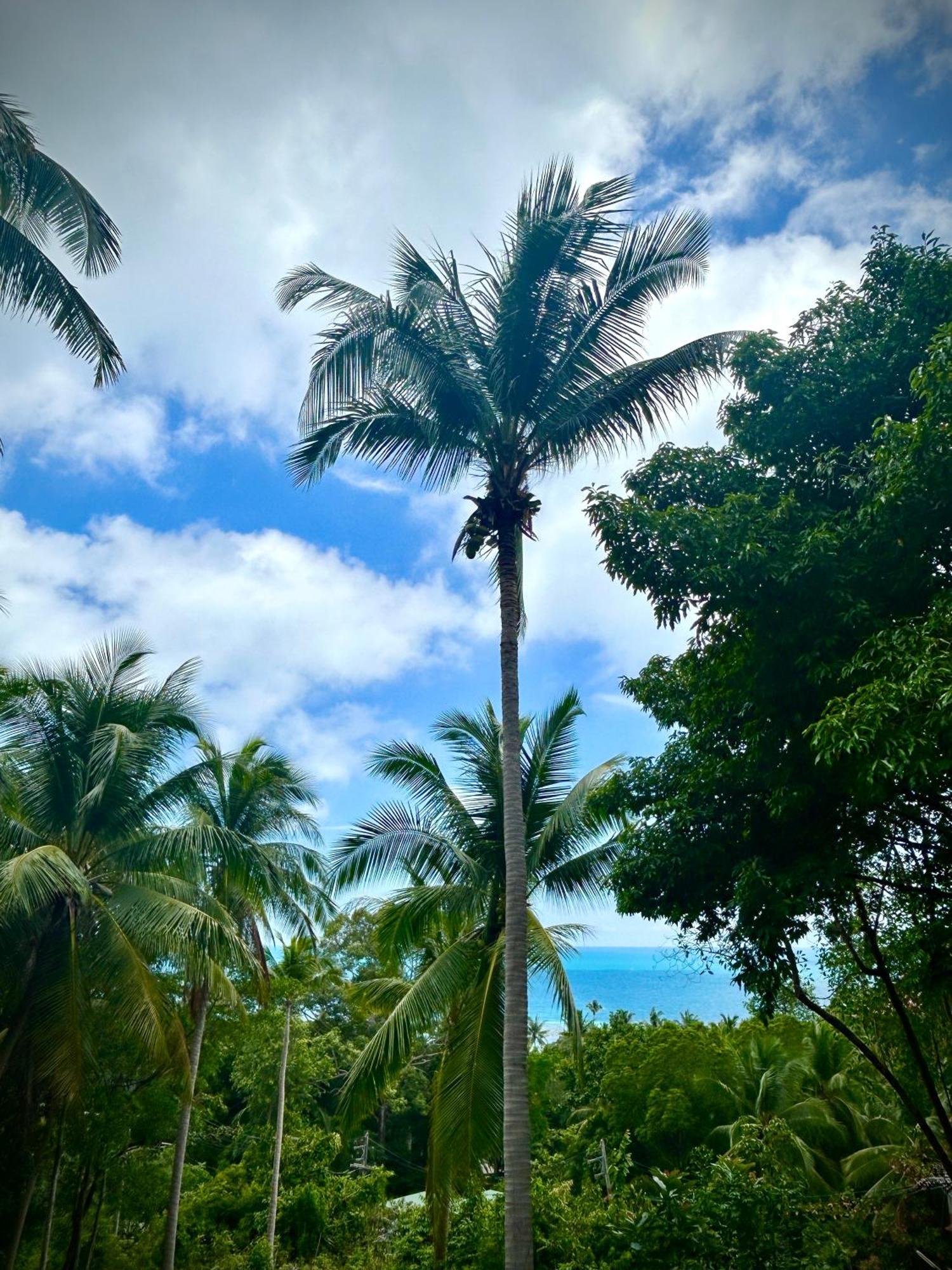 Casa de férias Kalani,
