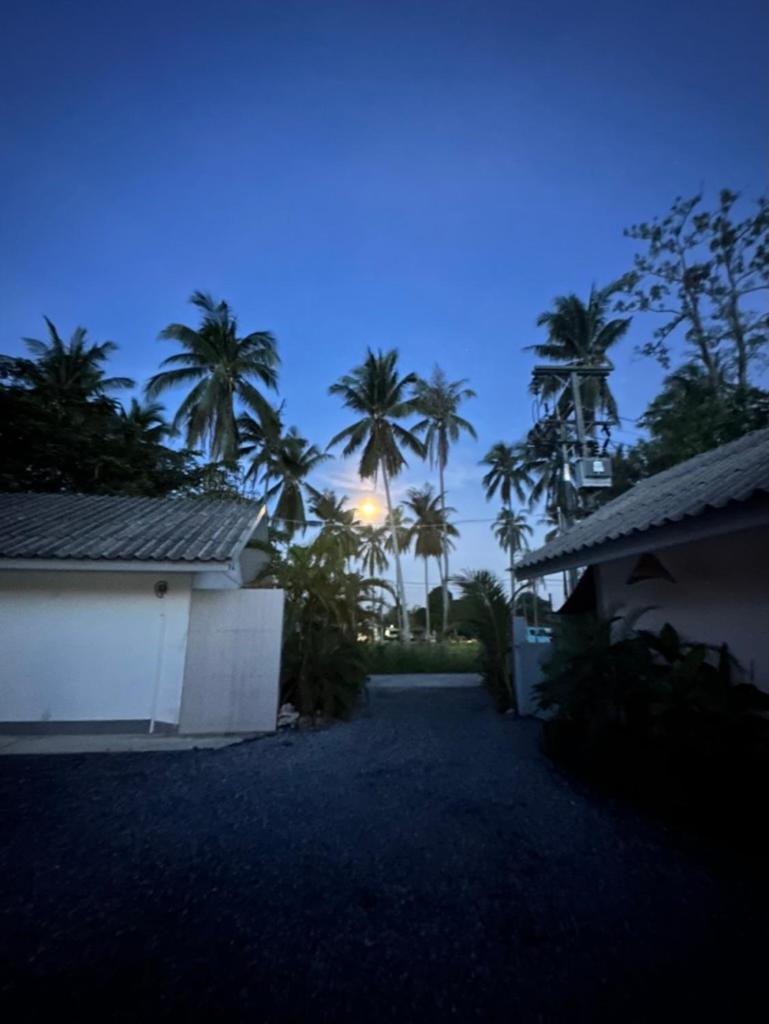 Samui Zenity Mae Nam