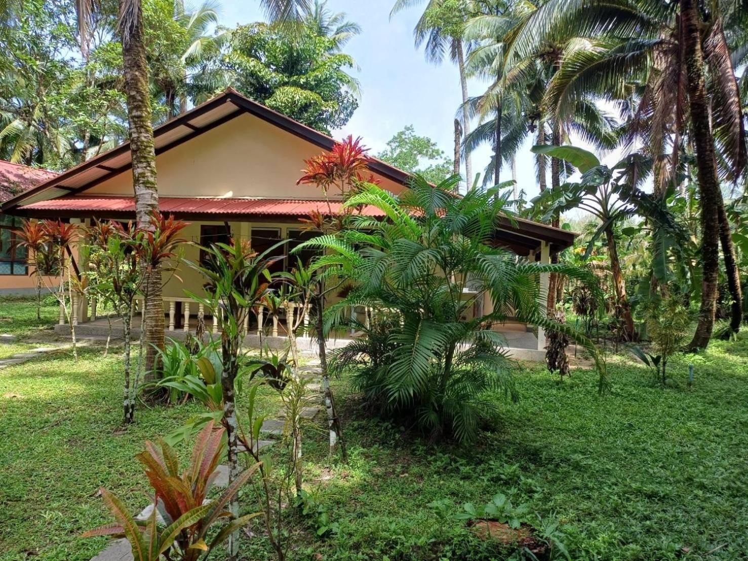 View 3*