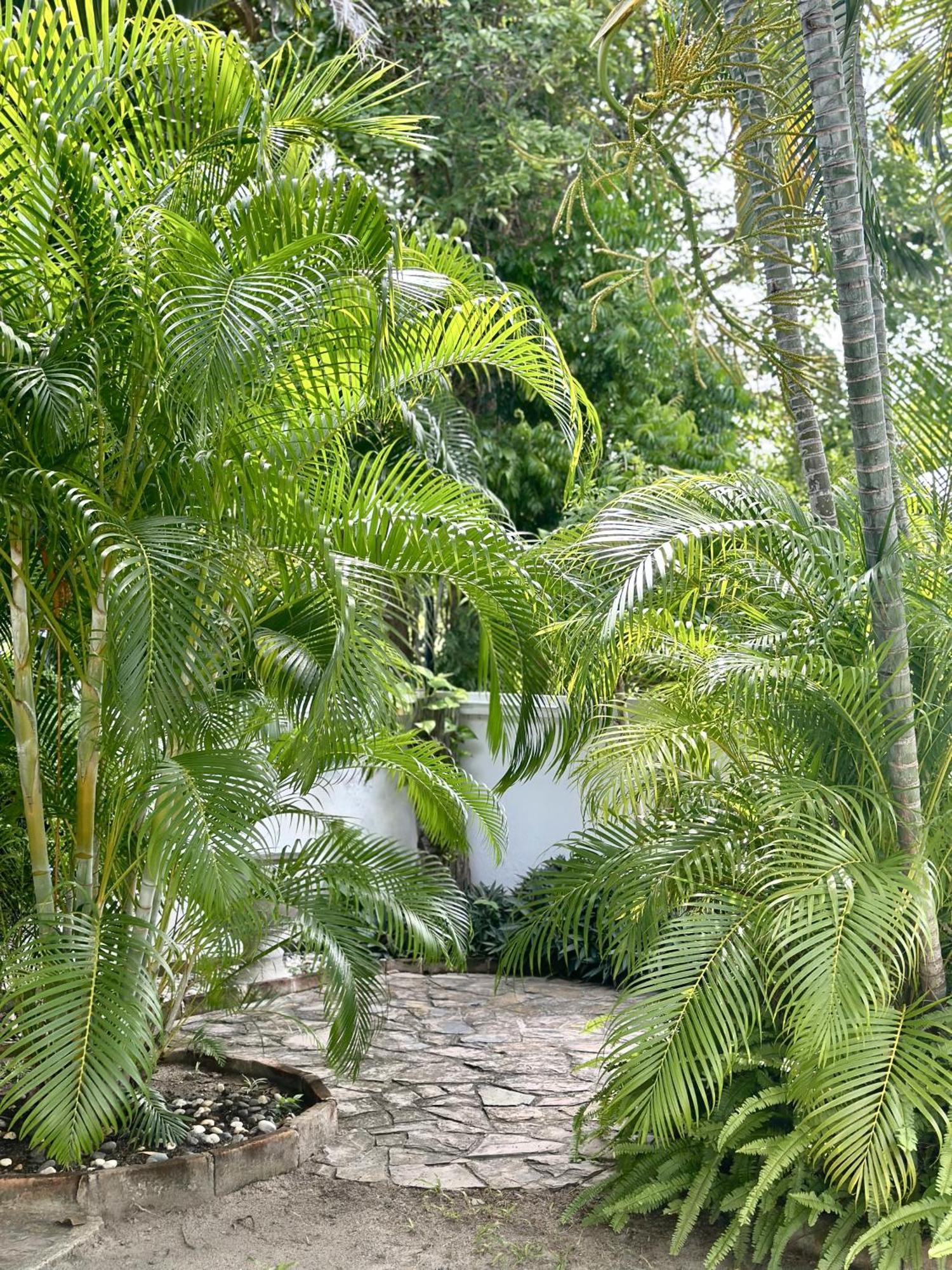 Villa Luxury Private Pool In