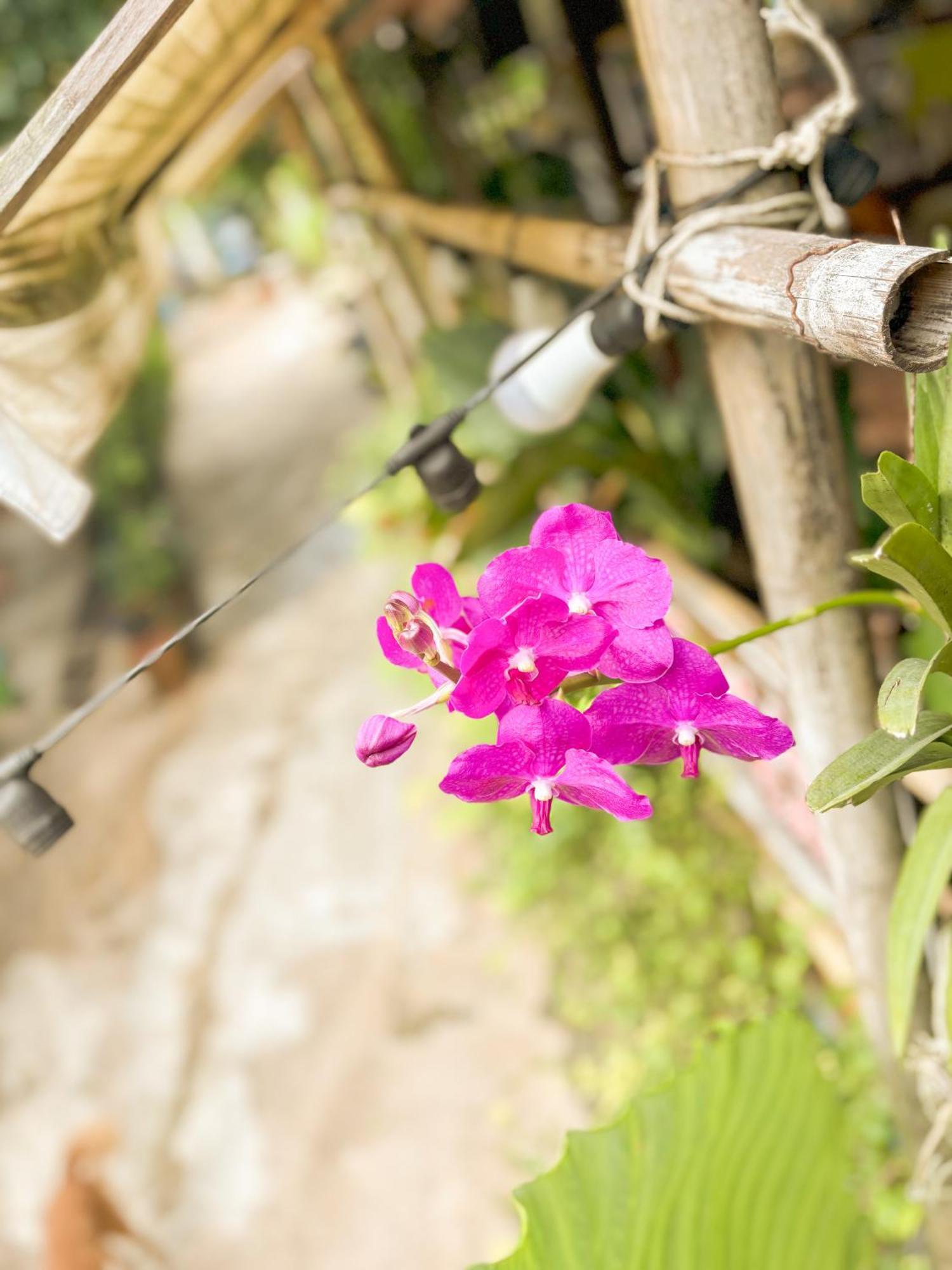 Les Fleurs House Khao Lak