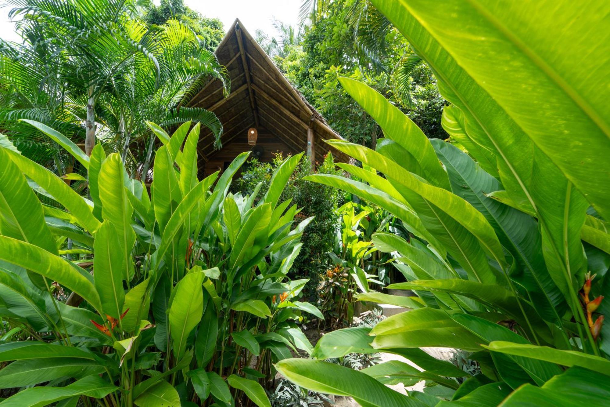 Bamboo Bay Eco * Srithanu