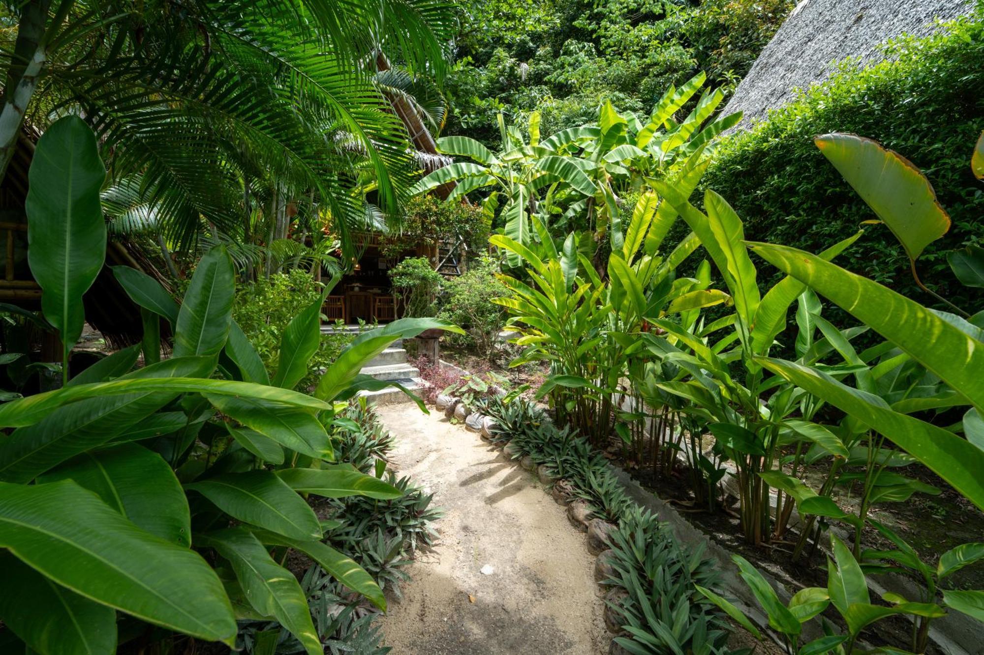 Bamboo Bay Eco *