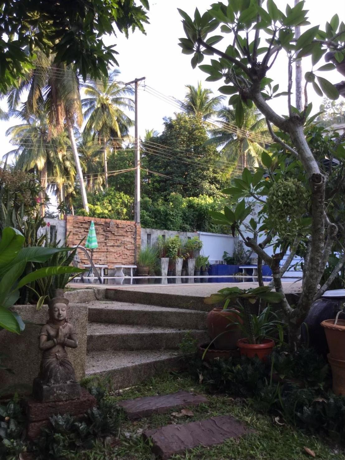 Ananas Samui Hostel