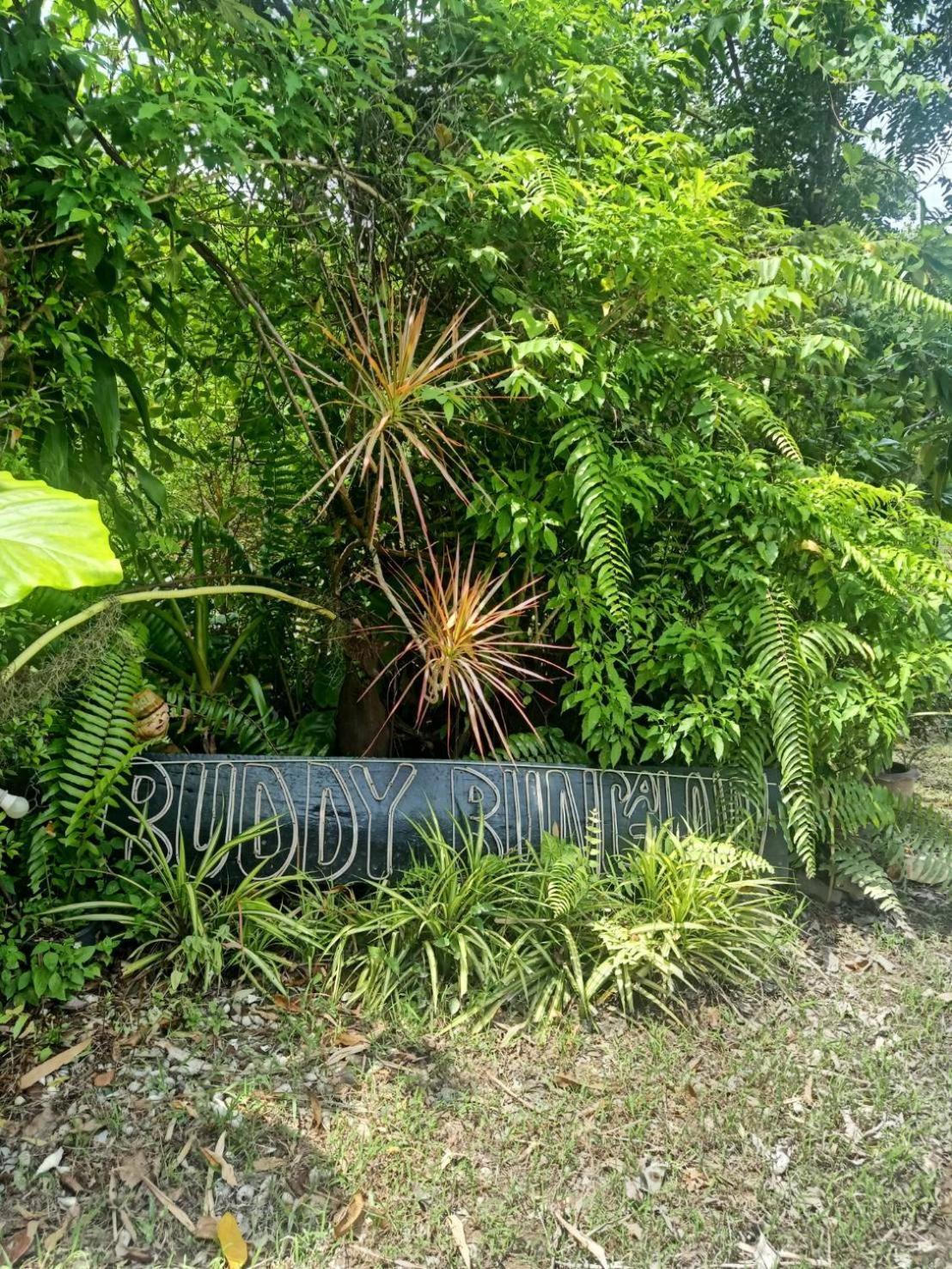 Lanta Buddy Koh Lanta