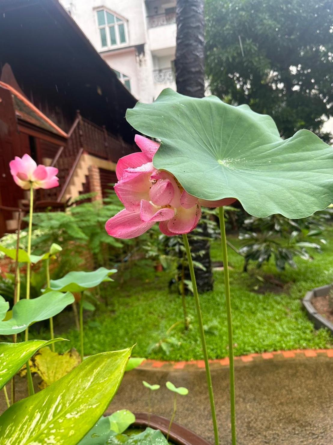 Hotel Royal Phawadee Village - 2 Minutes Walk To The Patong