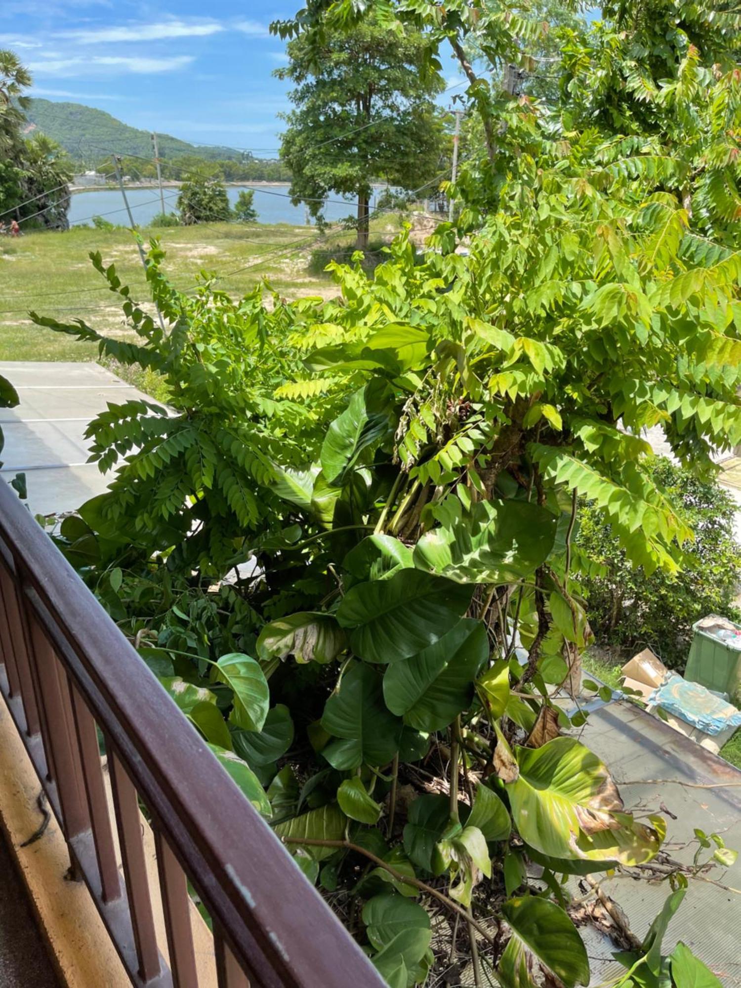 Dikachaya Hostel Chaweng (Koh Samui)
