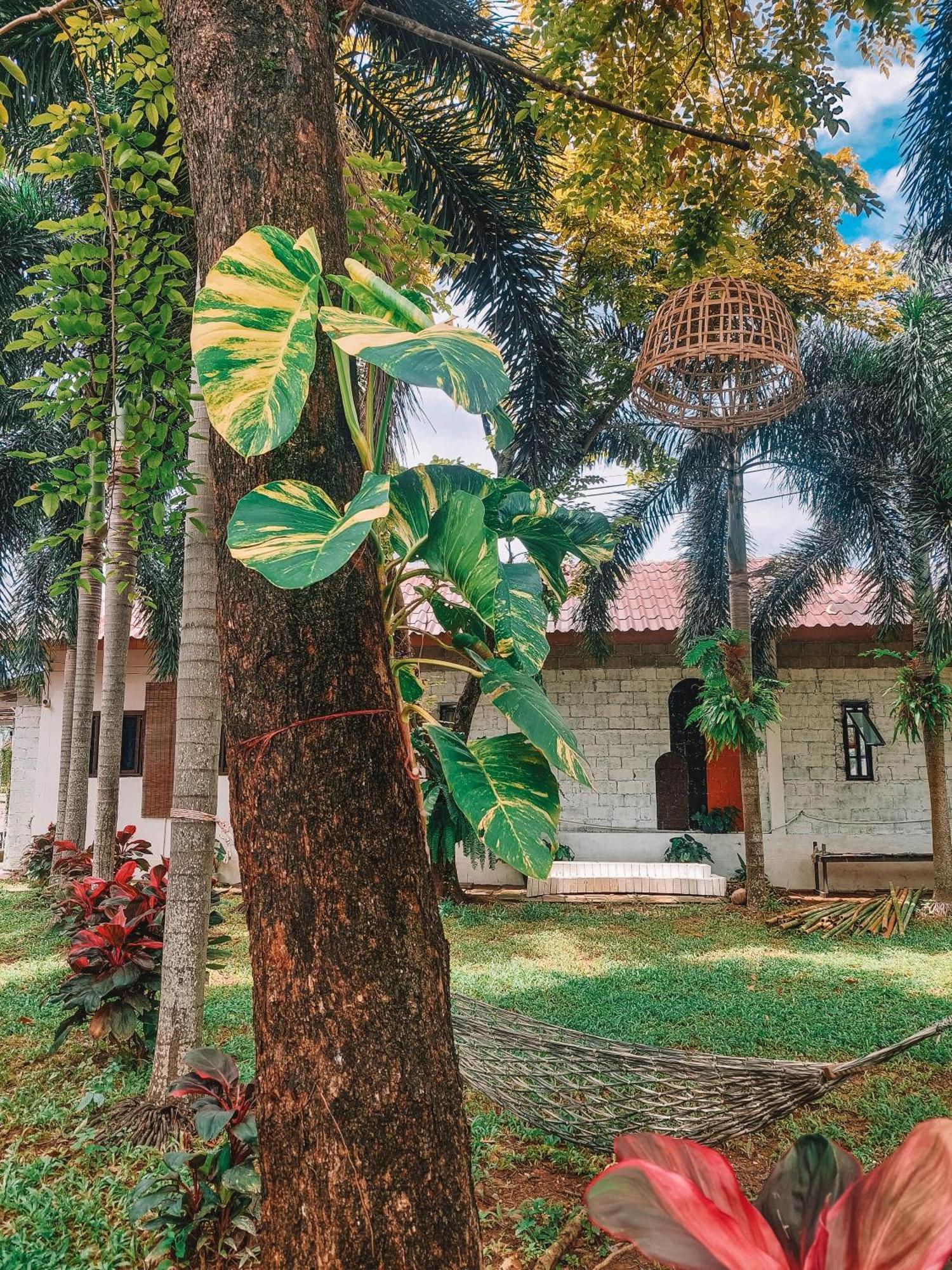 Naraya Guest house 2*