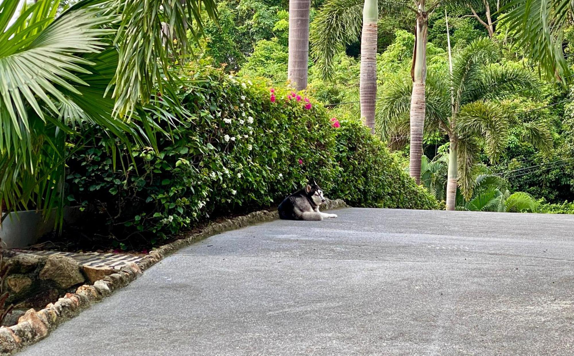 Ko Samui Seaview Pool Villa Paris With Car