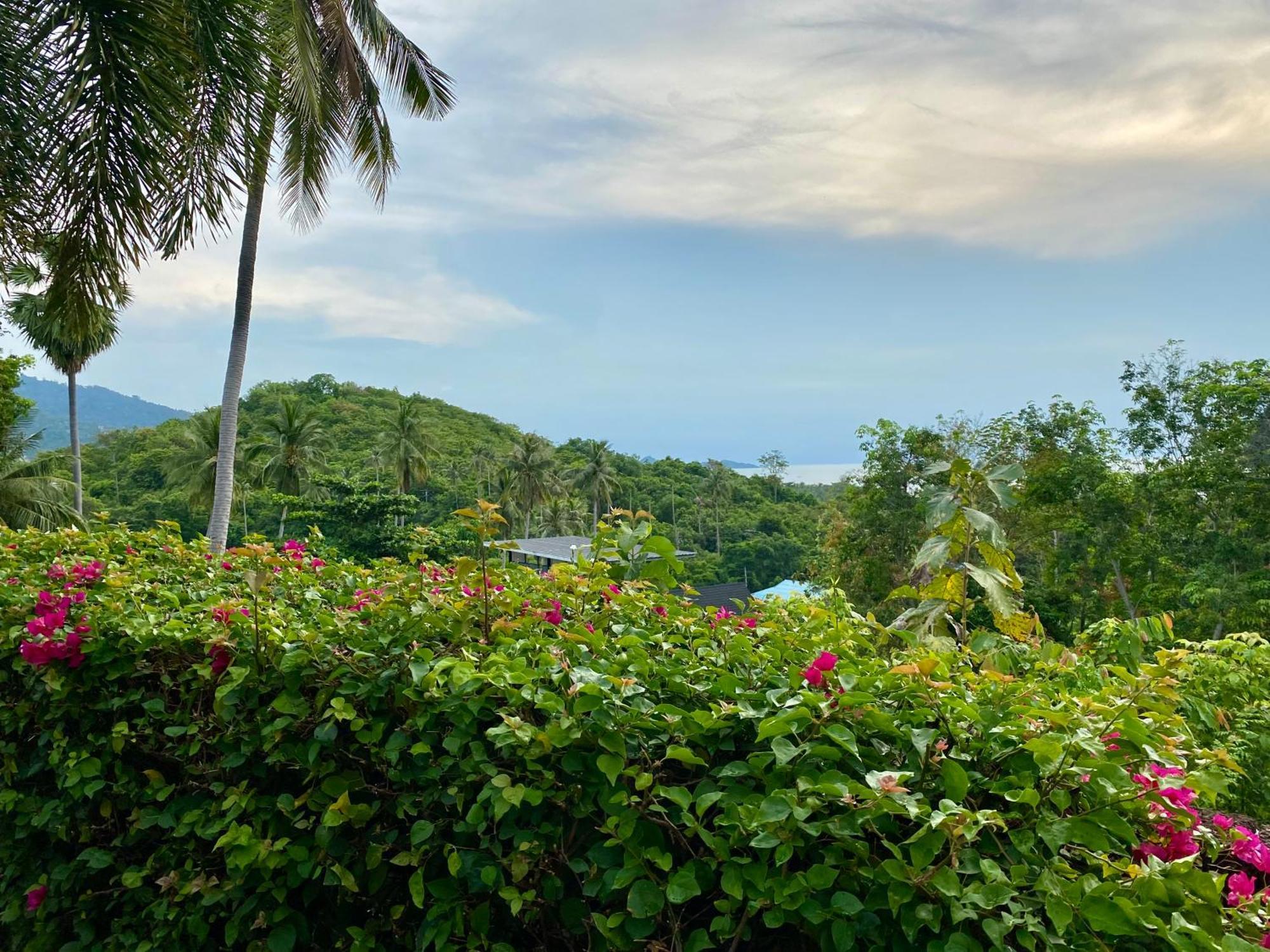 Ko Samui Seaview Pool Villa Paris With Car Villa *
