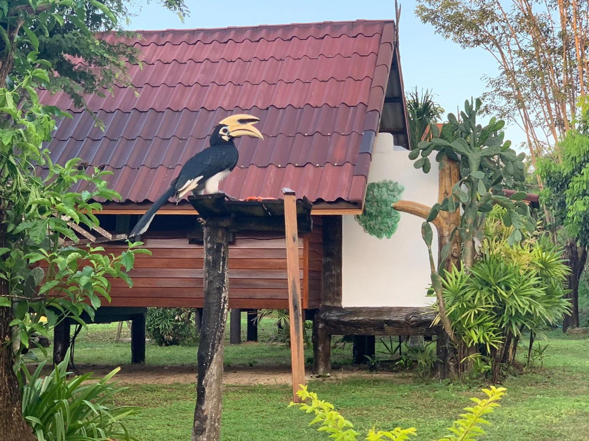 Angthong Koh Phaluai