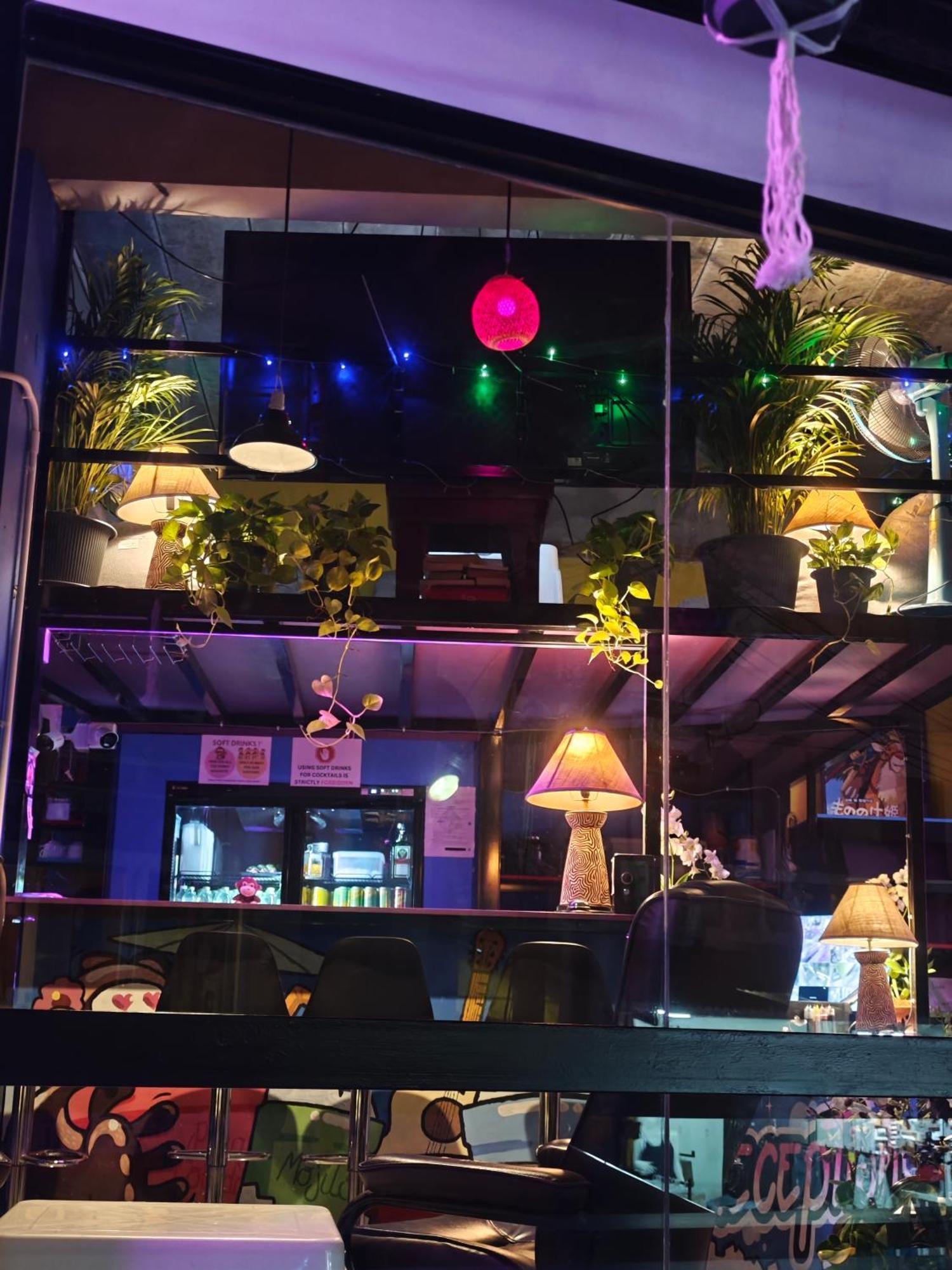 The Funky Monkey - 18 To 40 Years Old Only Hostel *