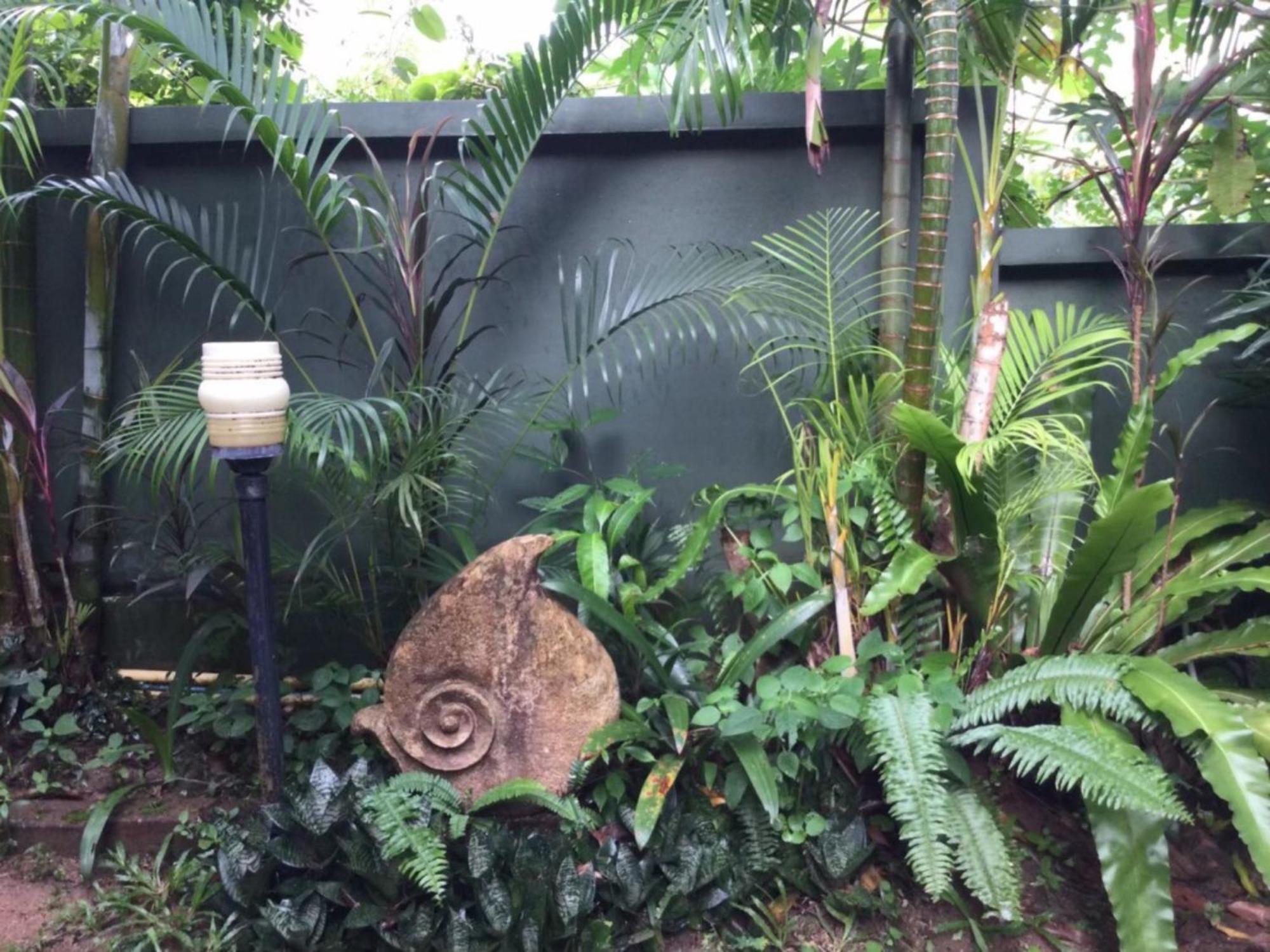 Ananas Samui