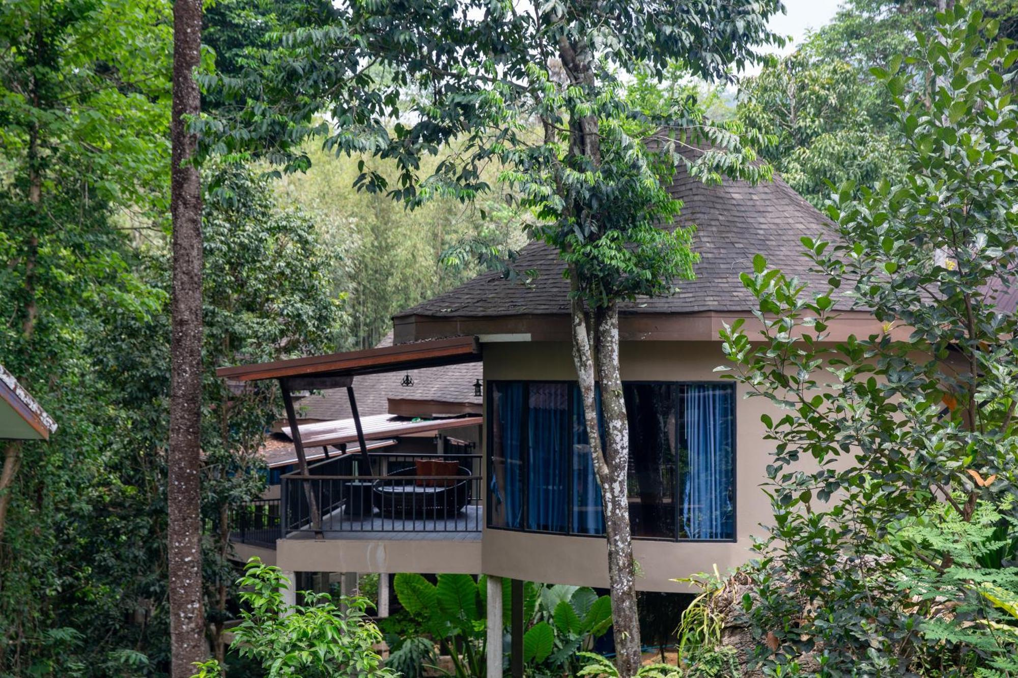 Rock And Tree House
