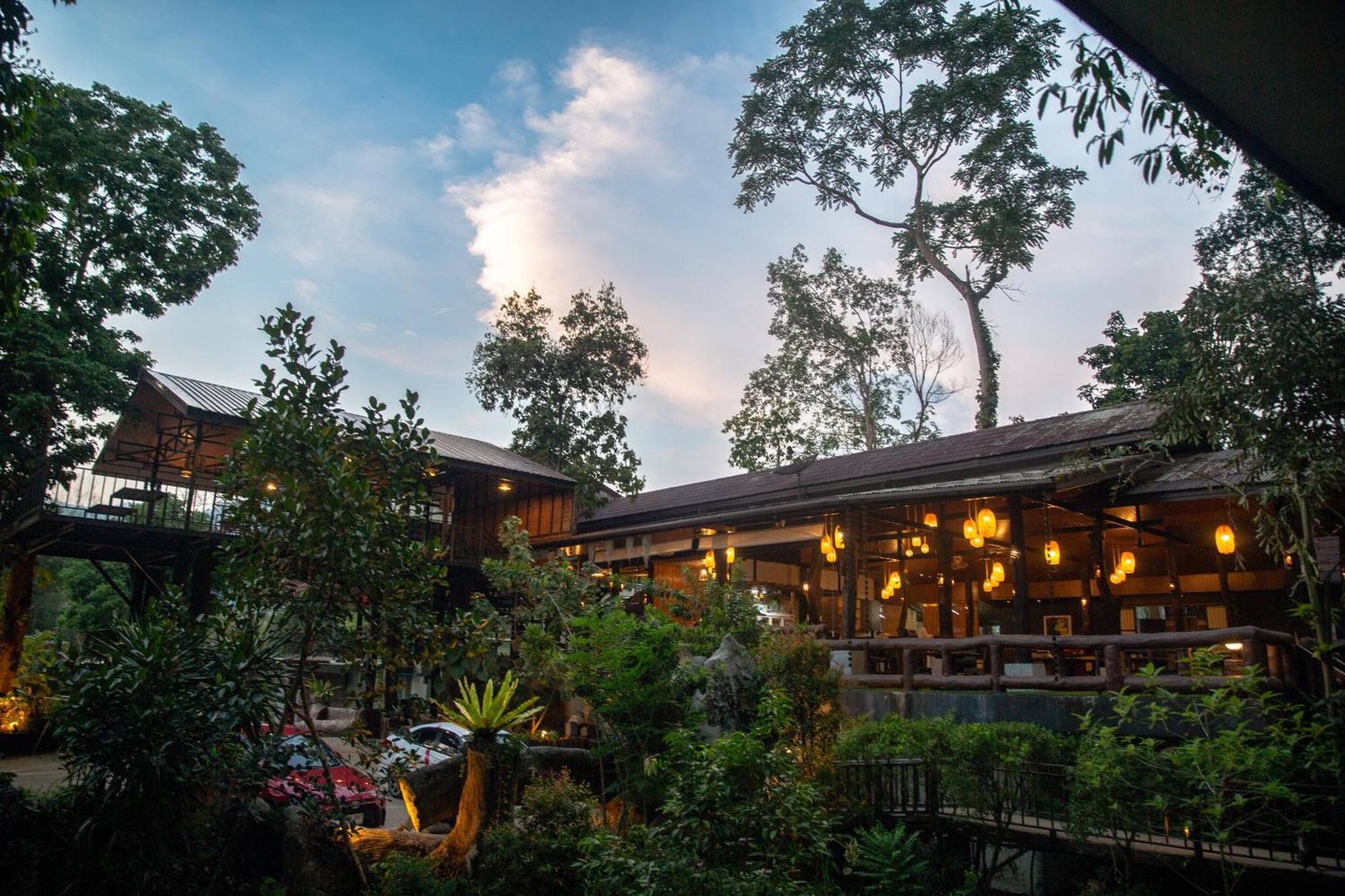 Resort Rock And Tree House Khao Sok National Park