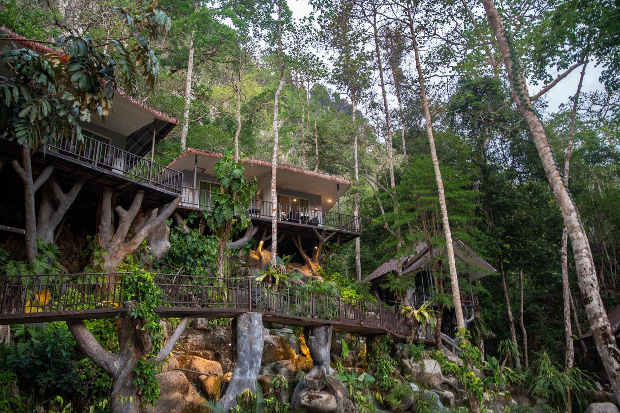 Rock And Tree House