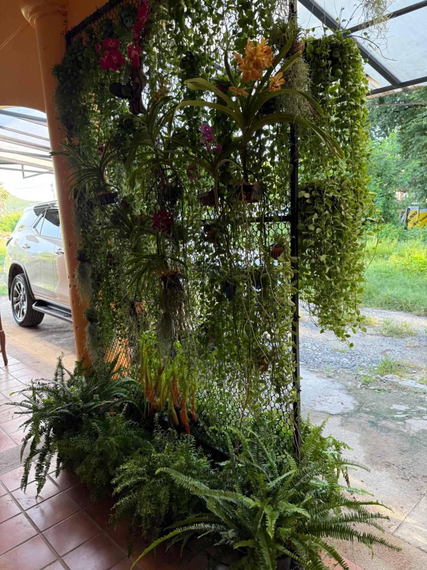 Hostel Dikachaya