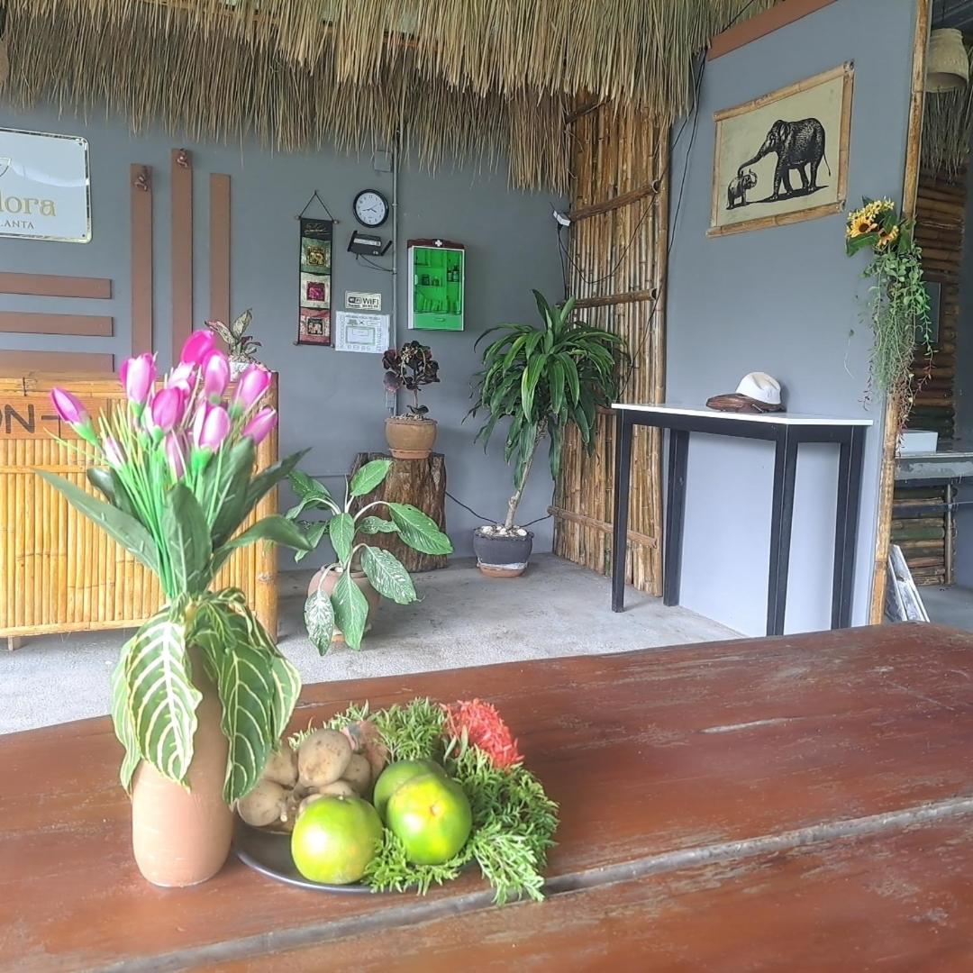 Siam Flora