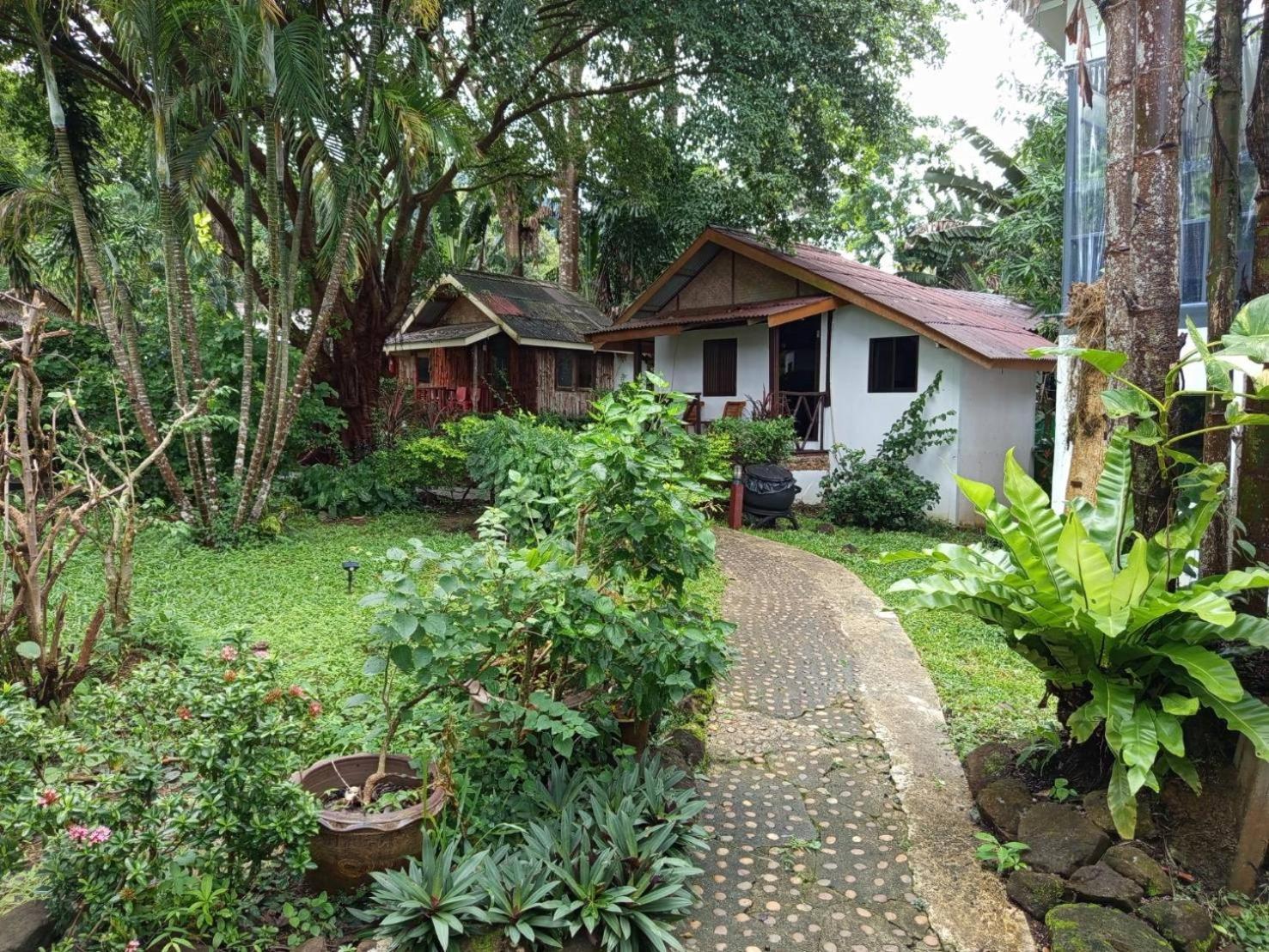 Faye Orchid Garden
