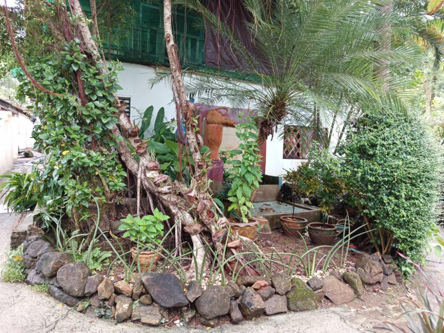 Faye Orchid Garden
