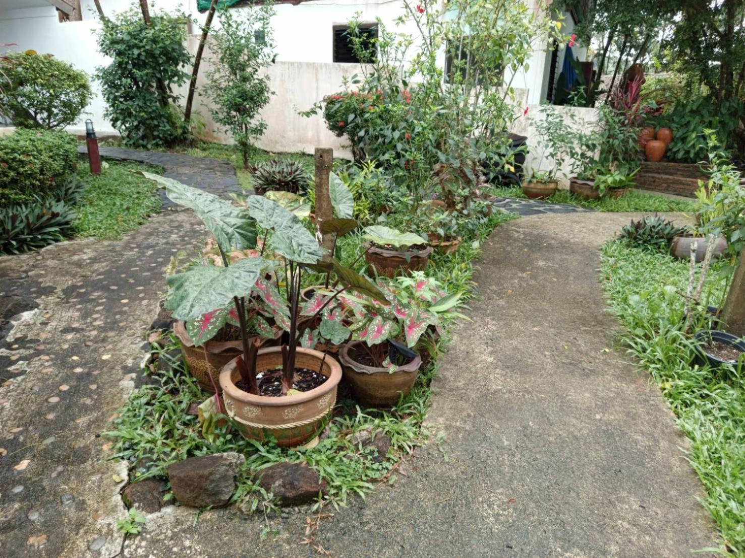 Resort Faye Orchid Garden Koh Chang