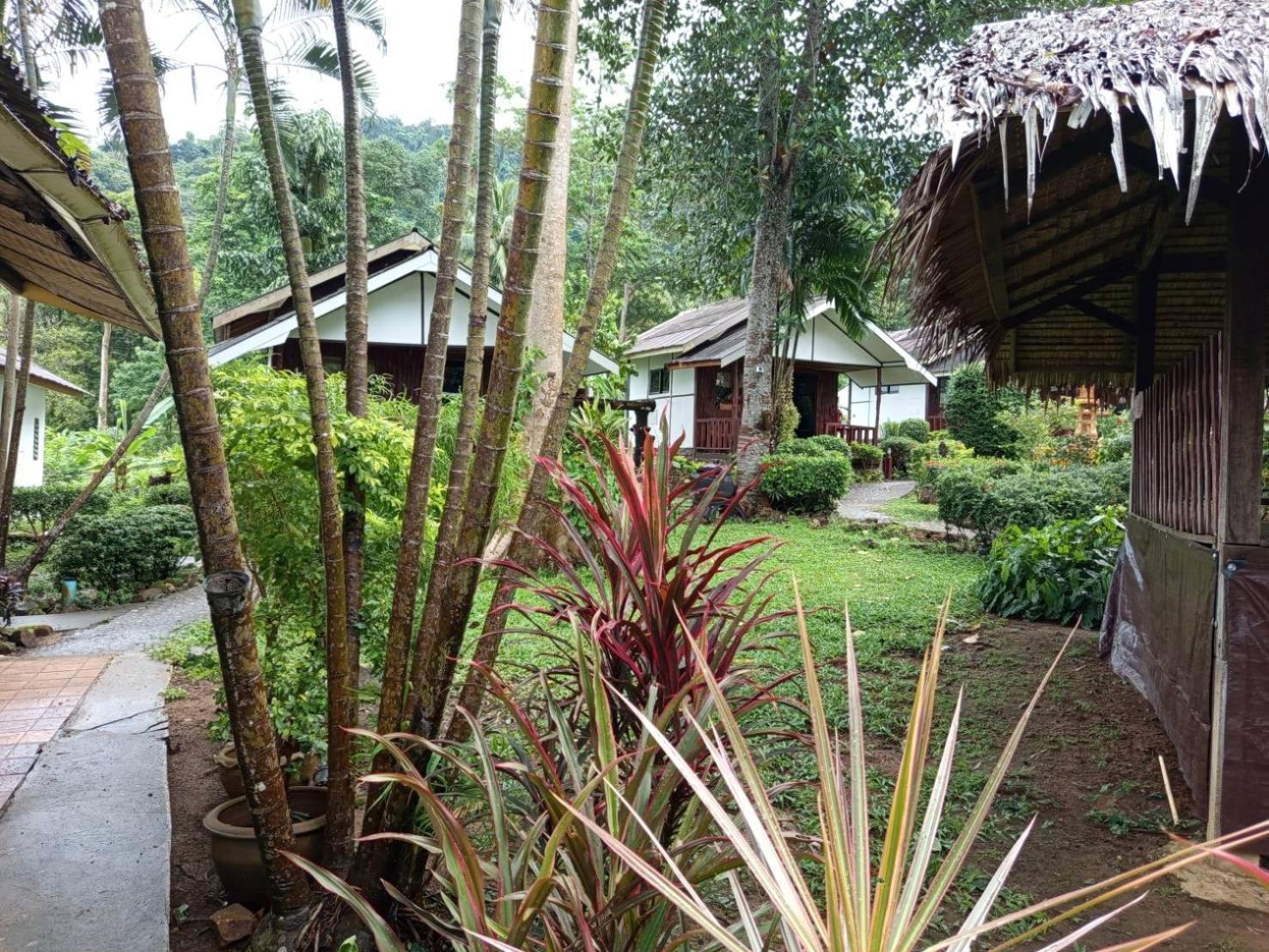 Faye Orchid Garden