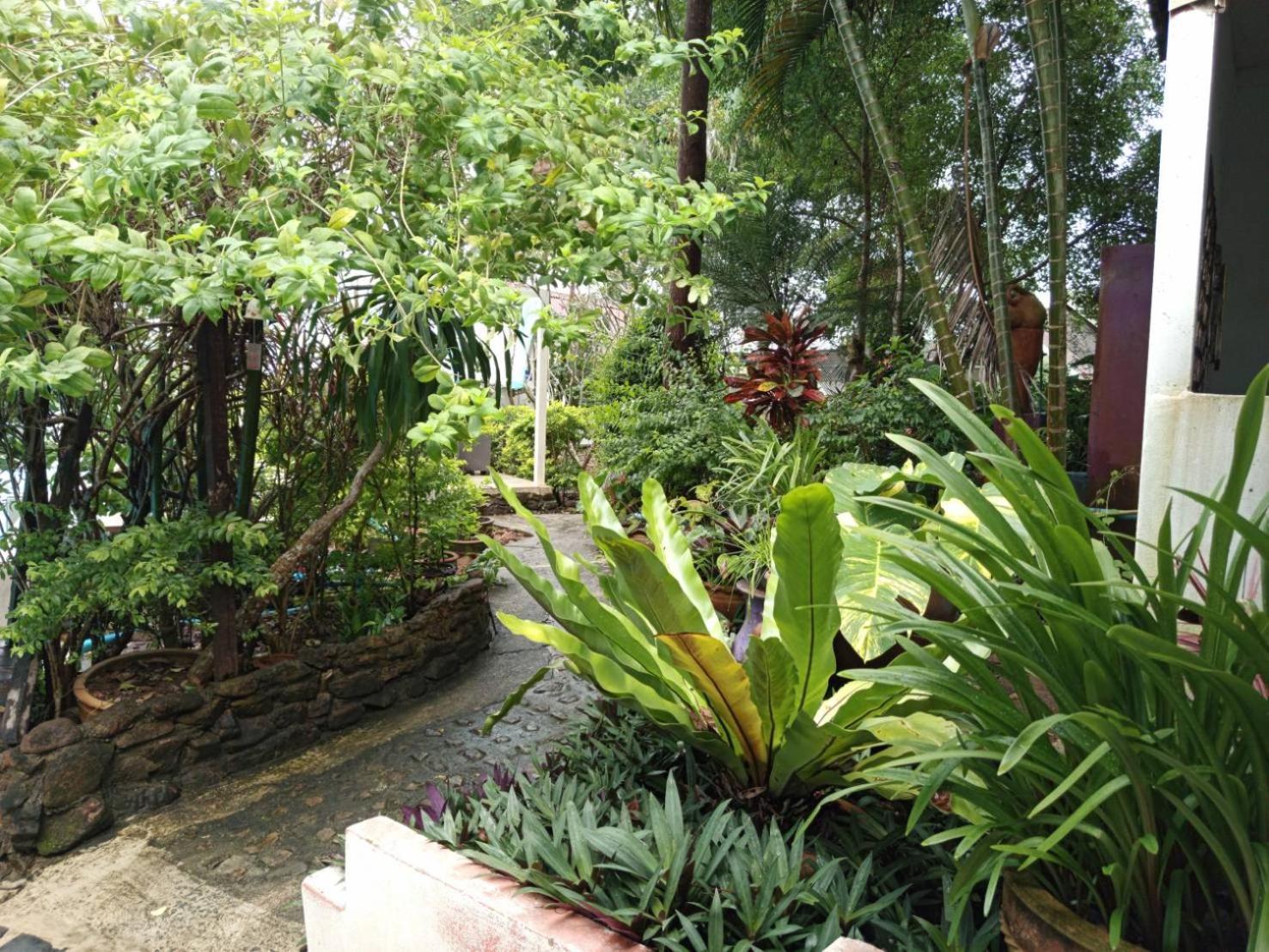 Faye Orchid Garden Resort