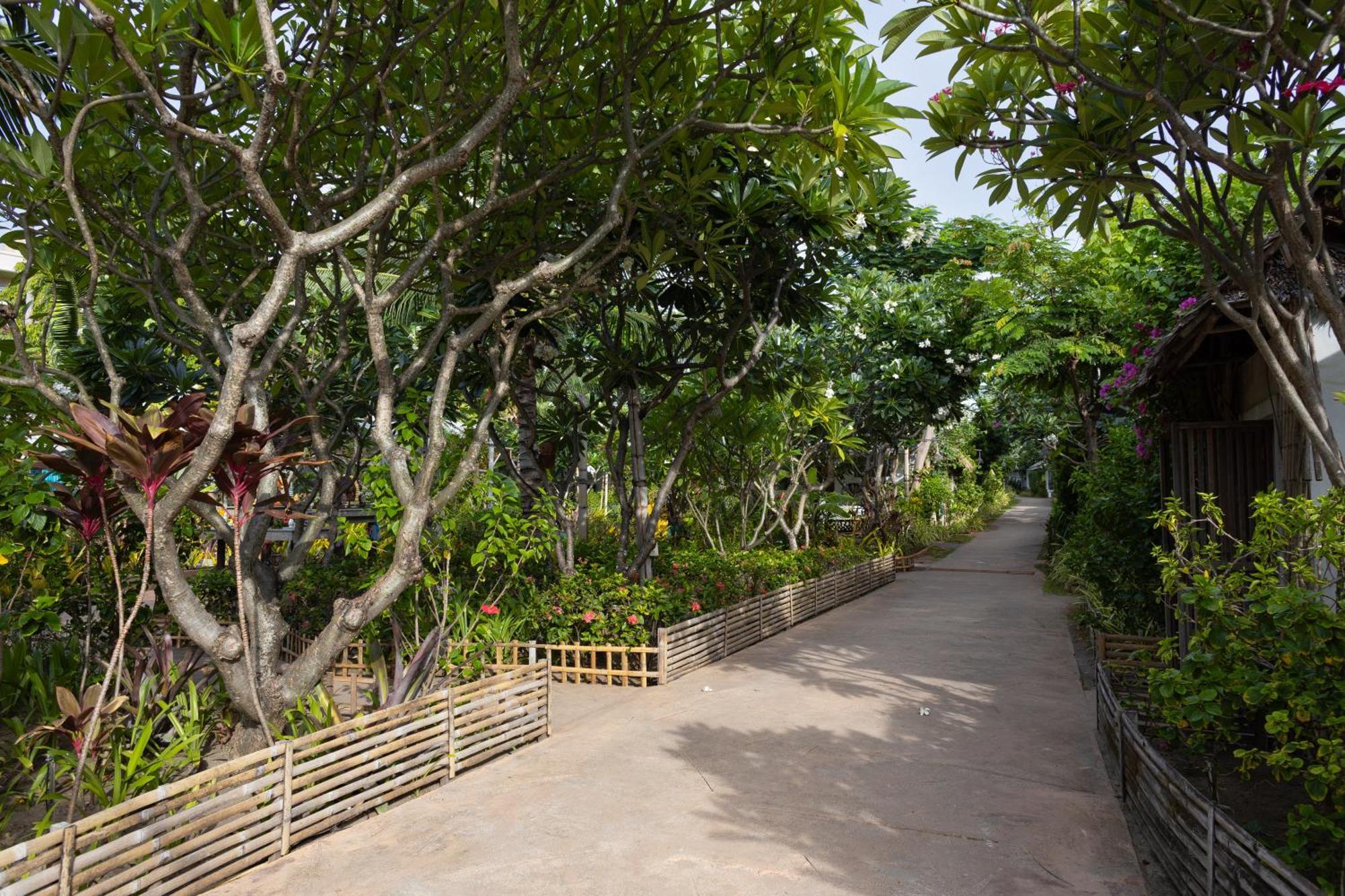 Resort King's Garden - Sha Chaweng (Koh Samui)