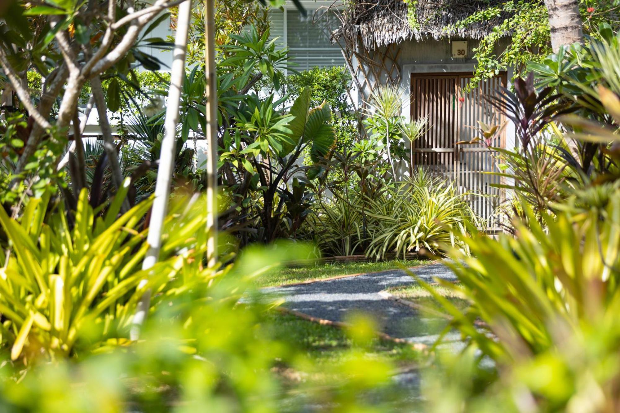 King's Garden - Sha 3*