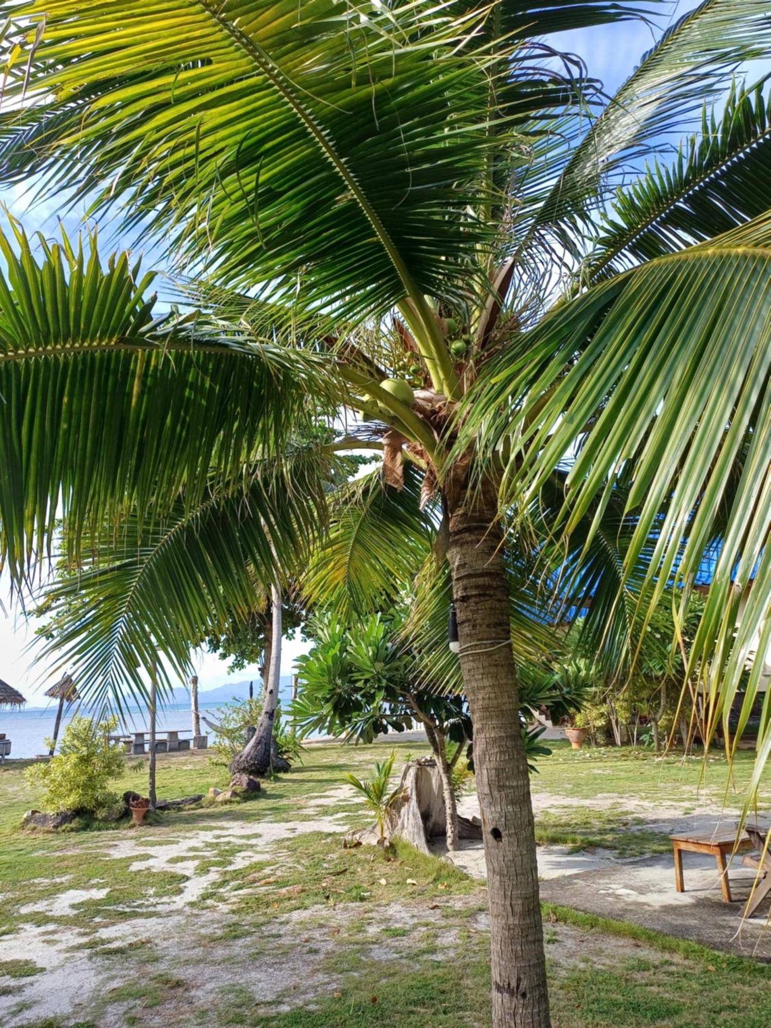 Hotel Tropicana Khophagan