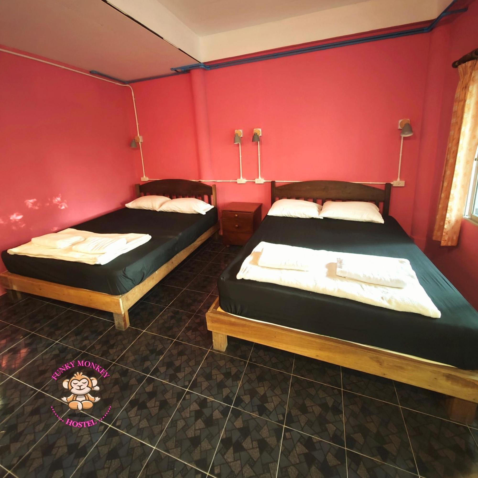 The Funky Monkey - 18 To 40 Years Old Only Hostel *