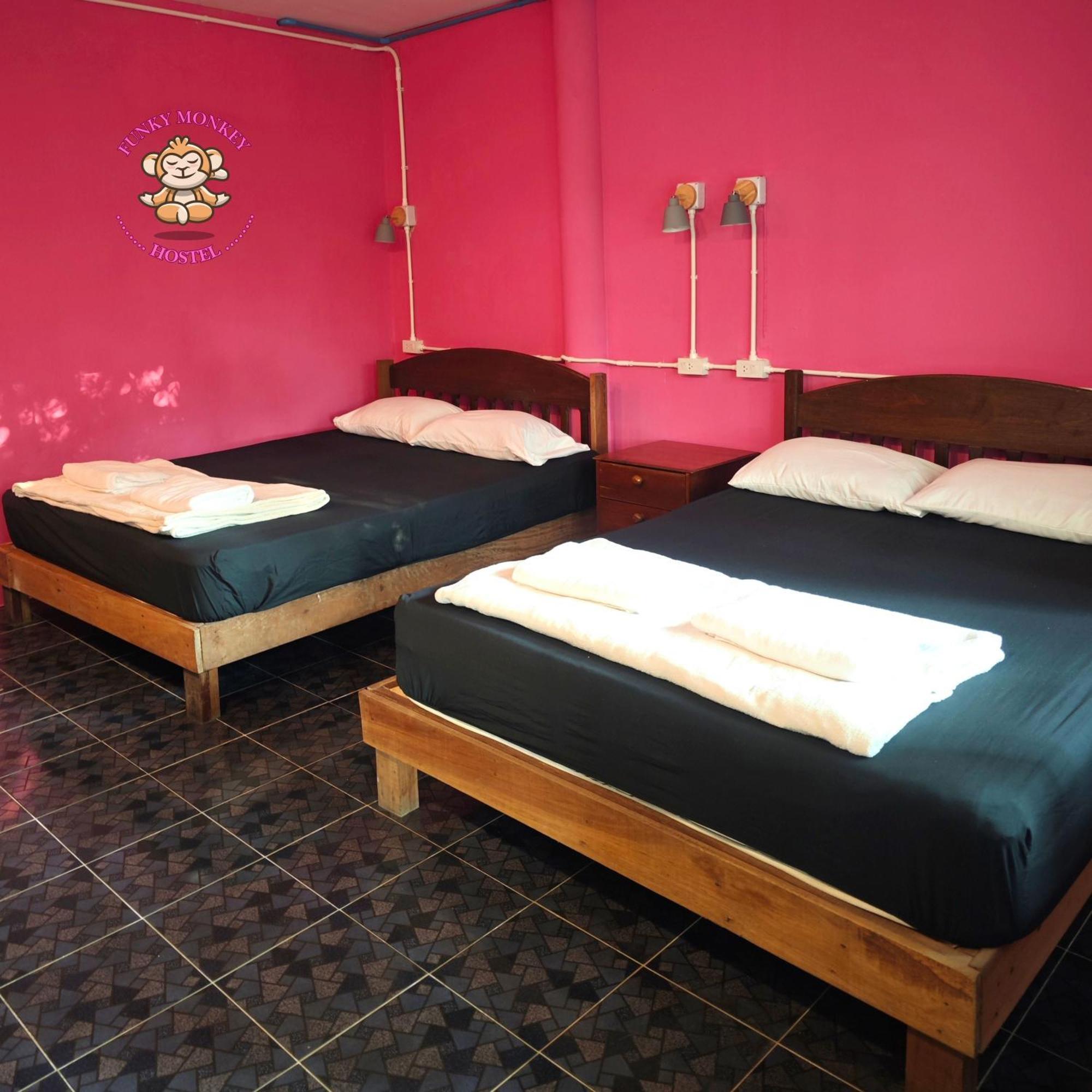 Hostel The Funky Monkey - 18 To 40 Years Old Only